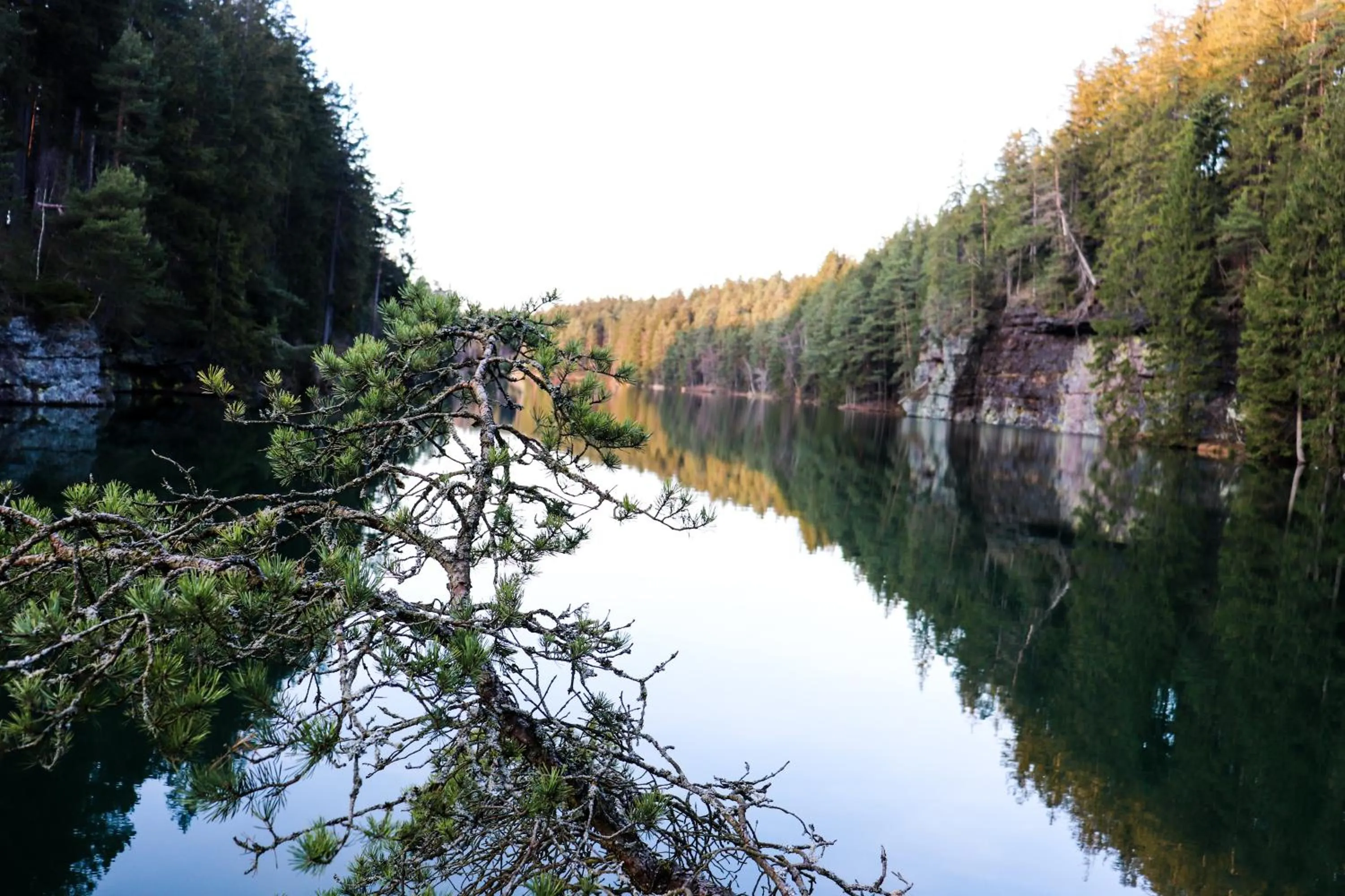 Hiking in Landhaus Falkenstein