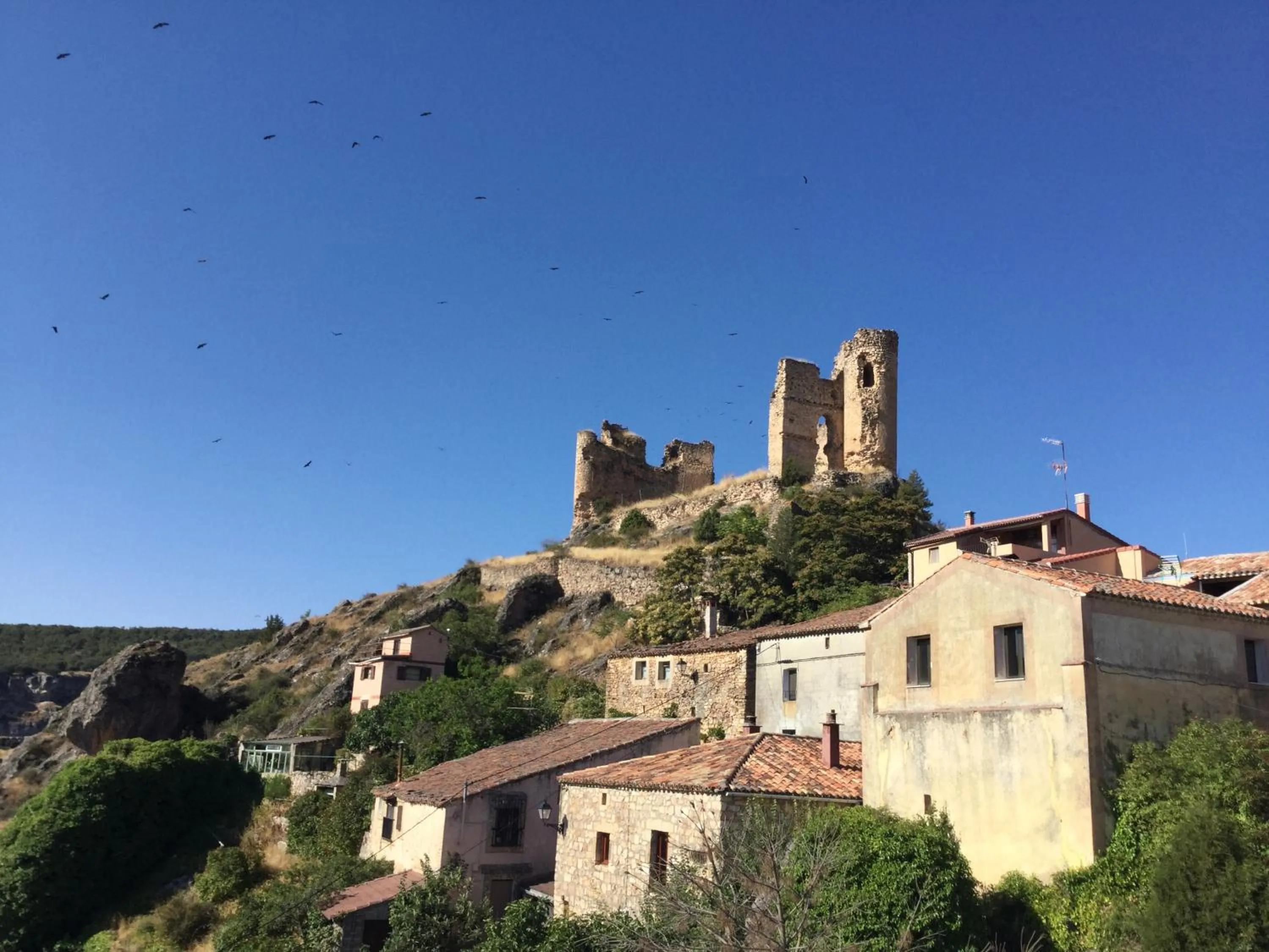 Property building in Casa Lola