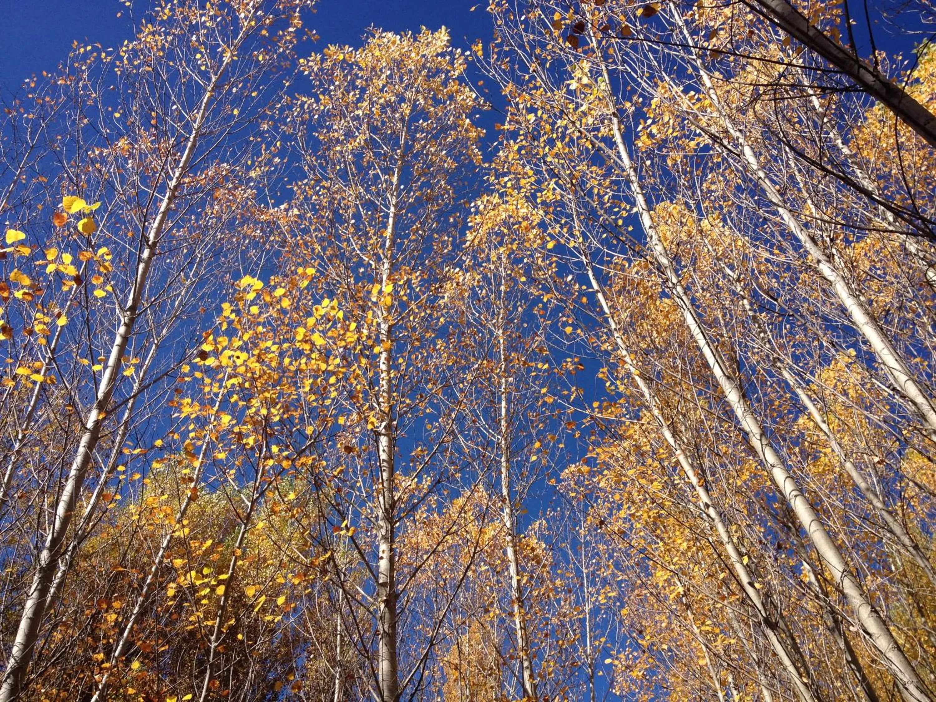 Natural landscape in Casa Lola