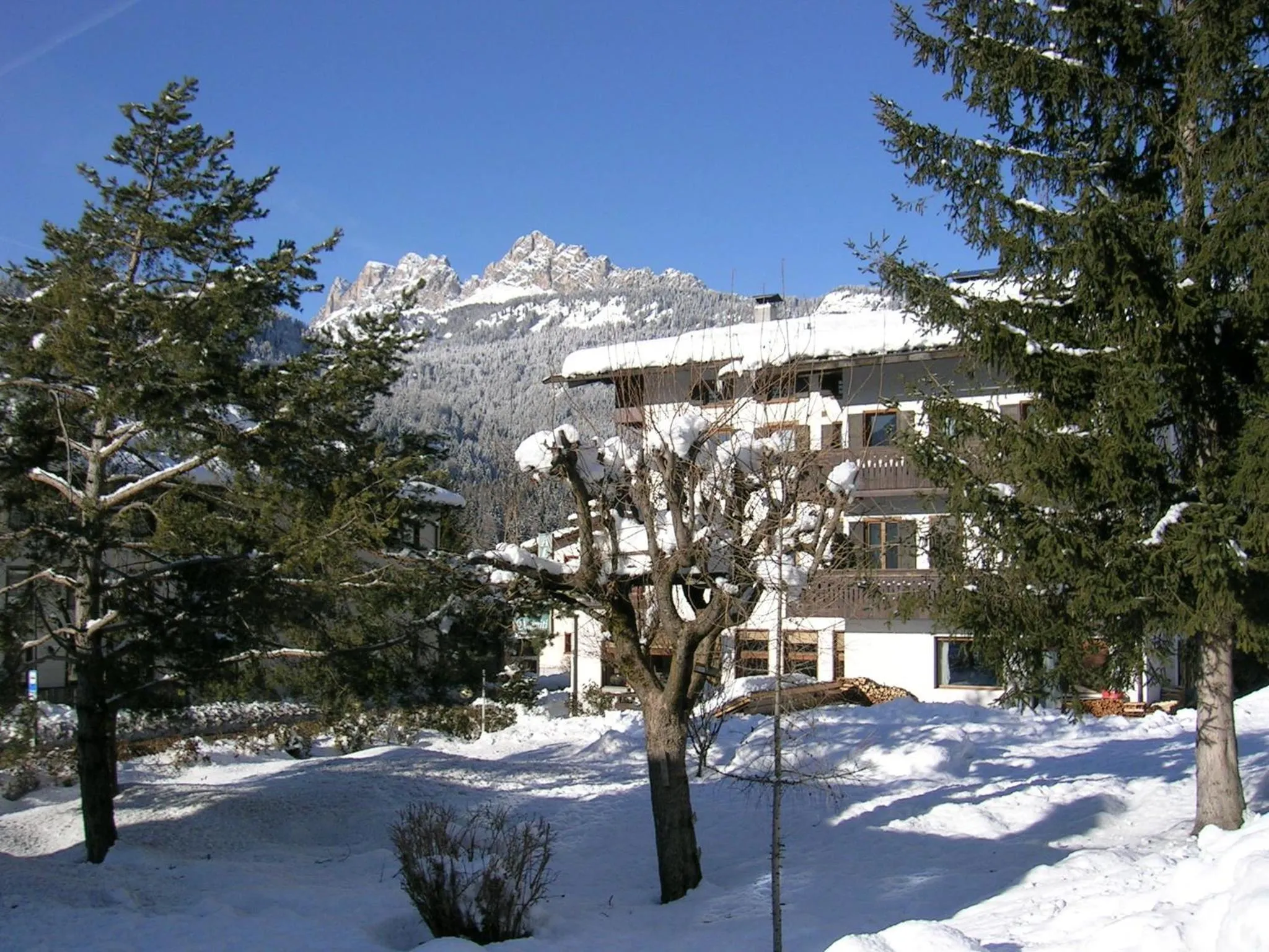 Garden in Hotel Albergo Dolomiti