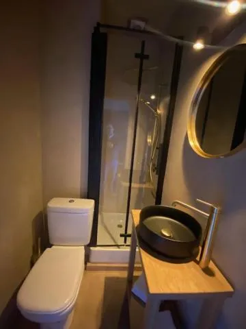 Toilet in Hotel Louisa
