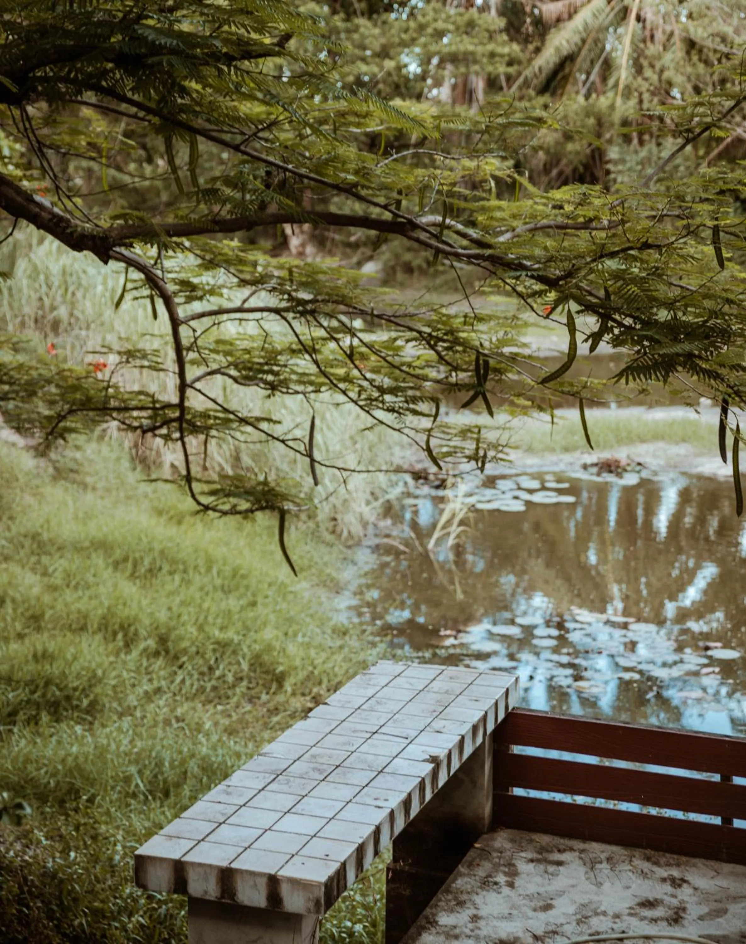 Natural landscape in Tak Andaman Resort & Hotel