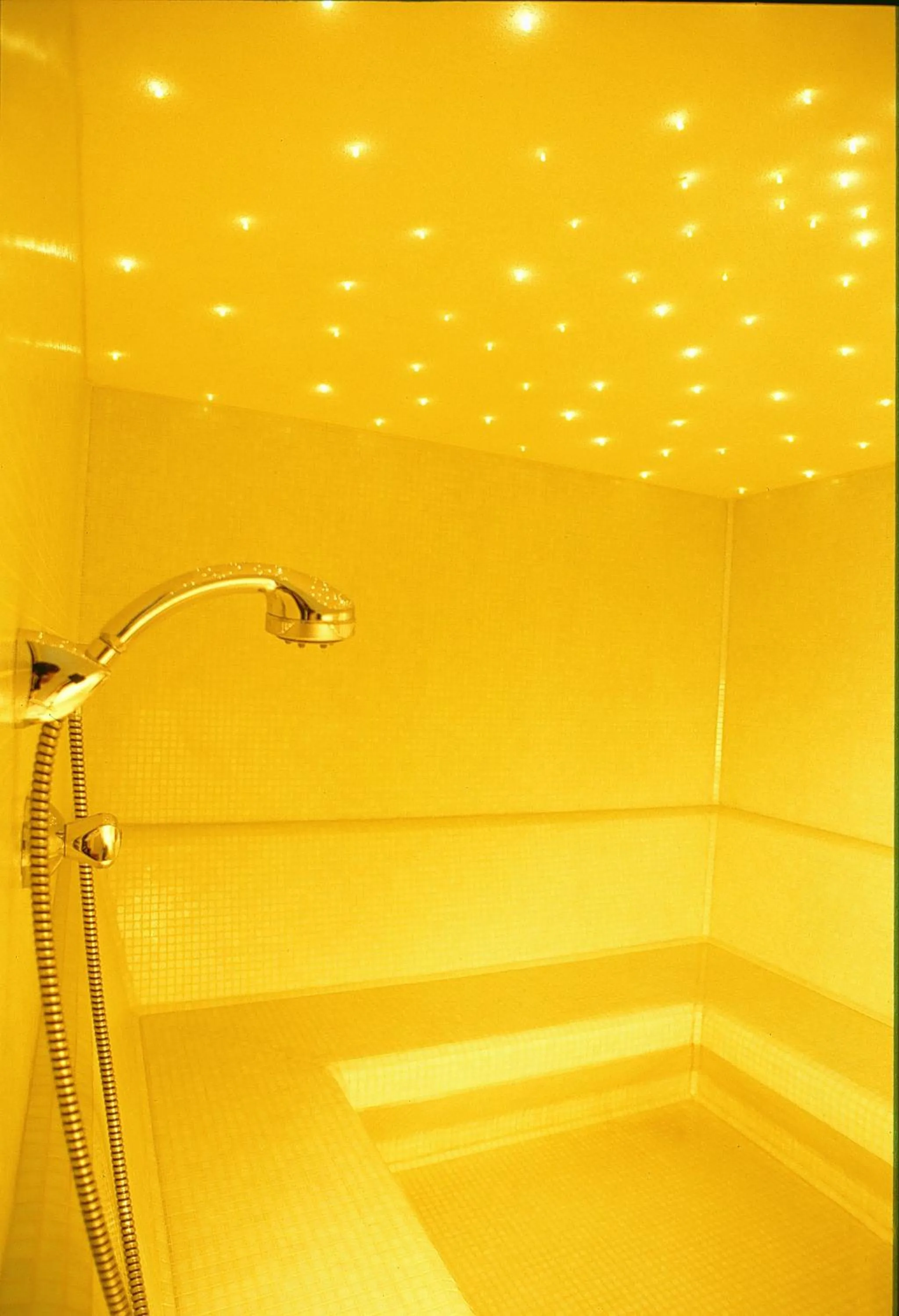 Steam room in Lo Chalet