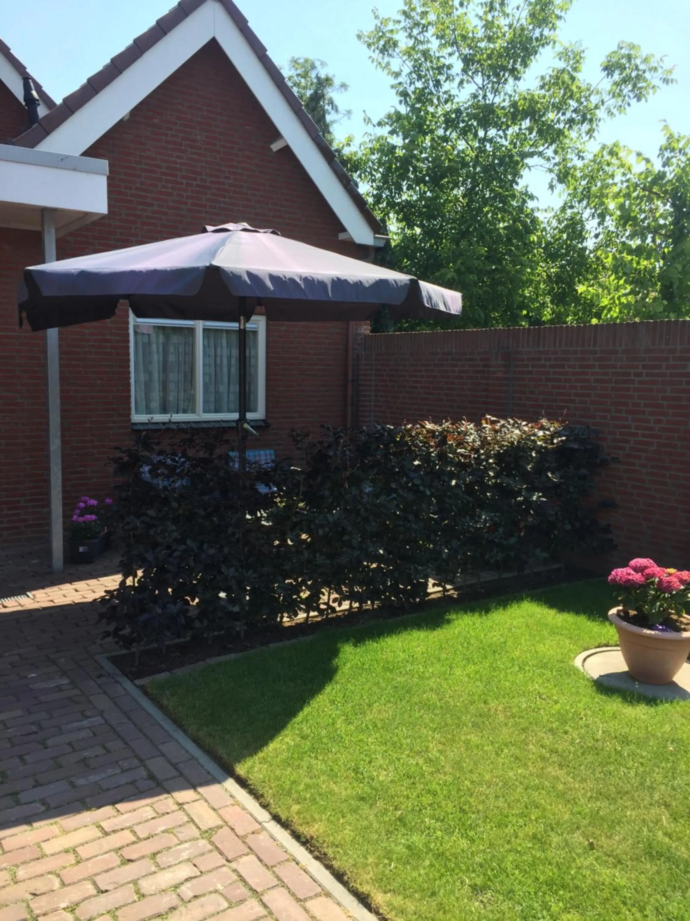 Day in Bed&Breakfast de Hooimoat