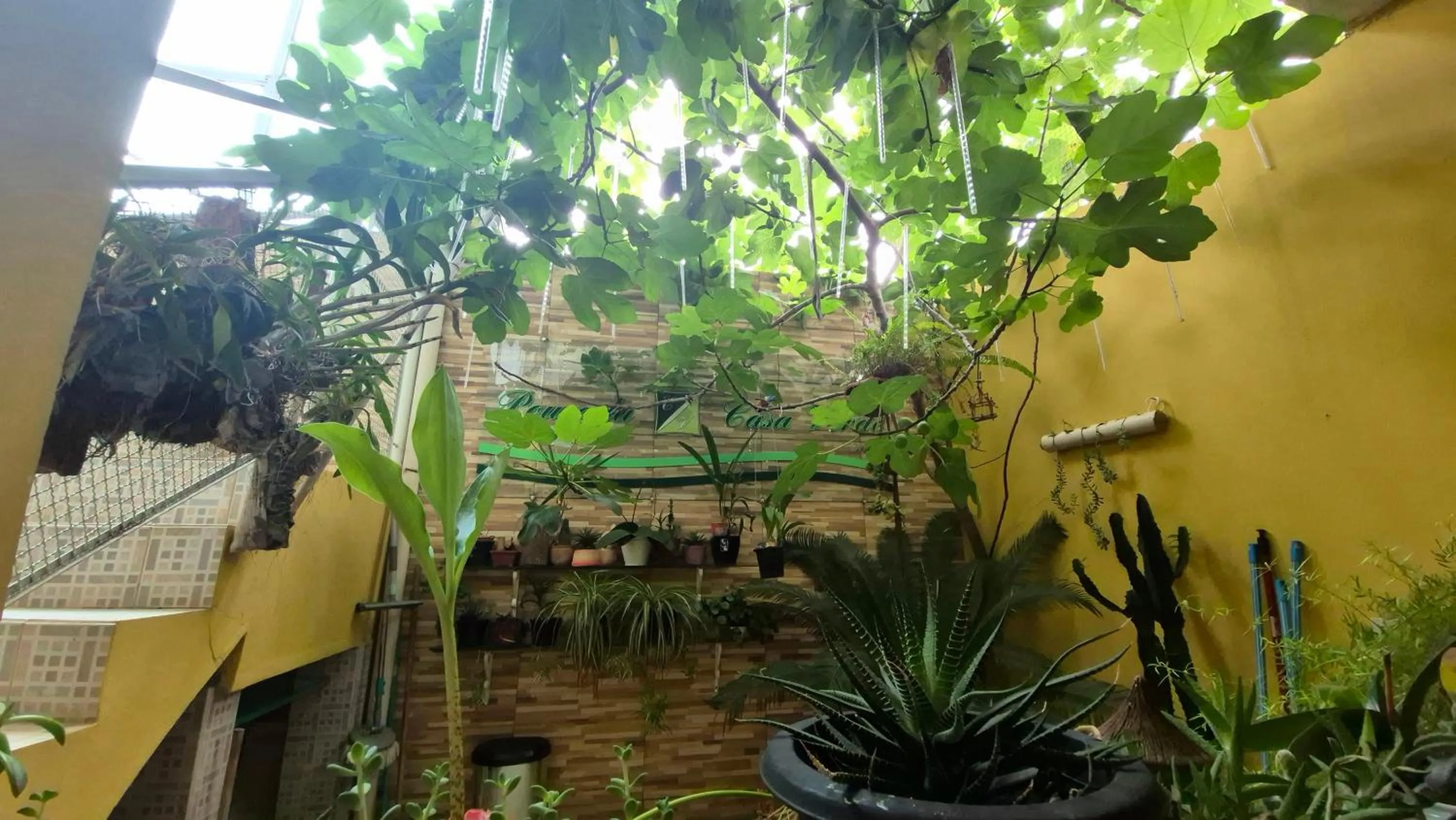 Pousada Casa Verde