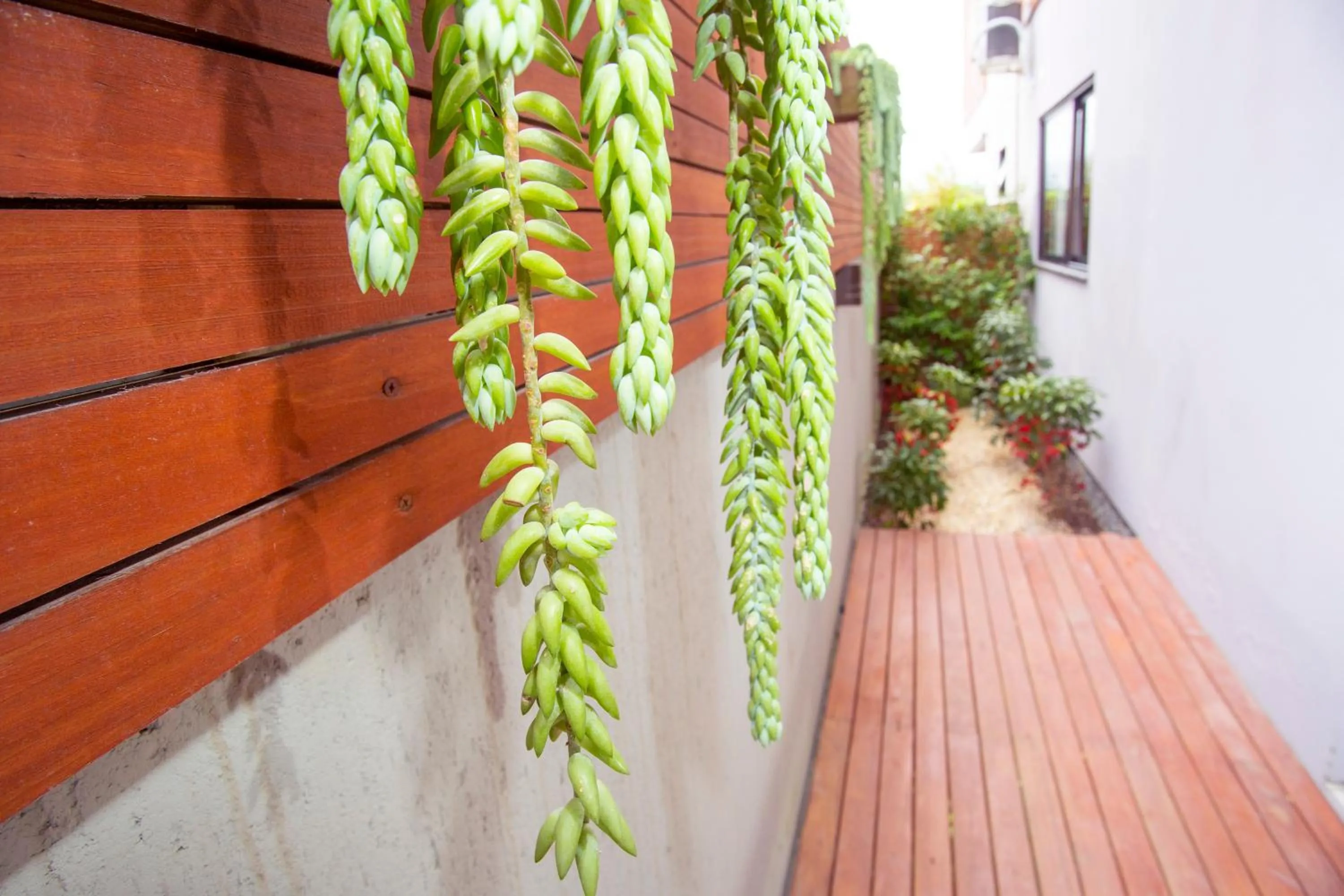 Barra Holiday Apartamentos