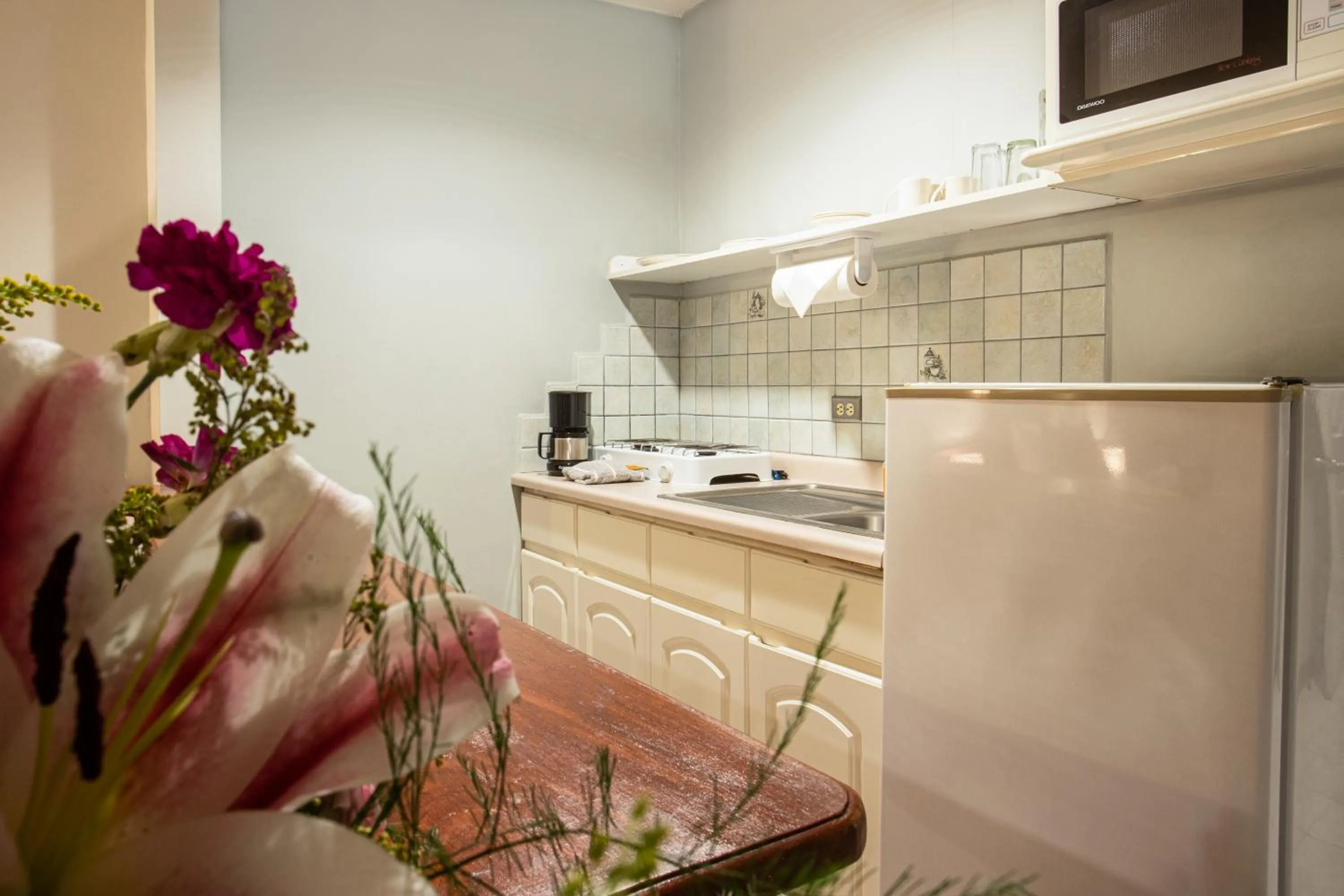 Kitchen or kitchenette in Apartotel Tairona