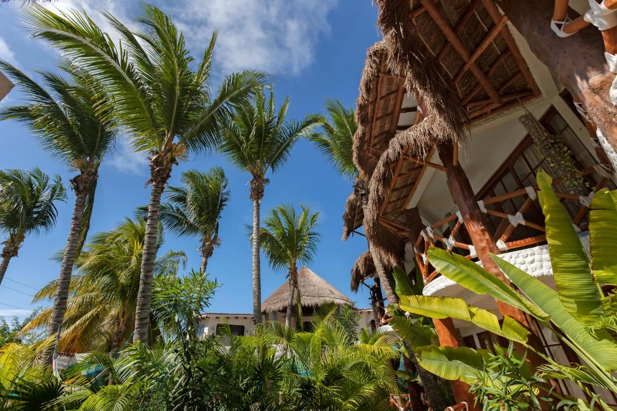 Garden in Hotel Para Ti - Adults Only