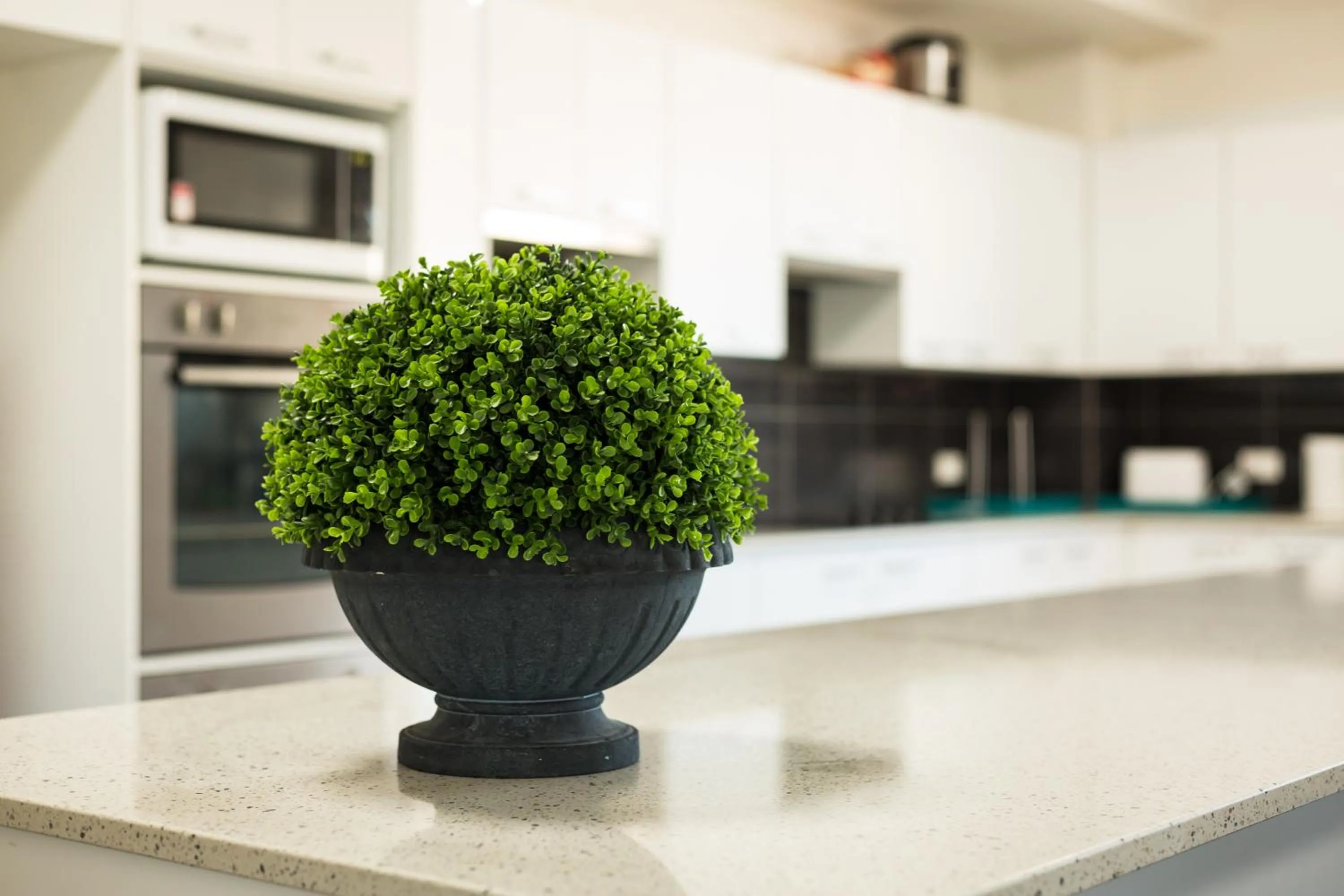 Communal kitchen in Aspire Newcastle