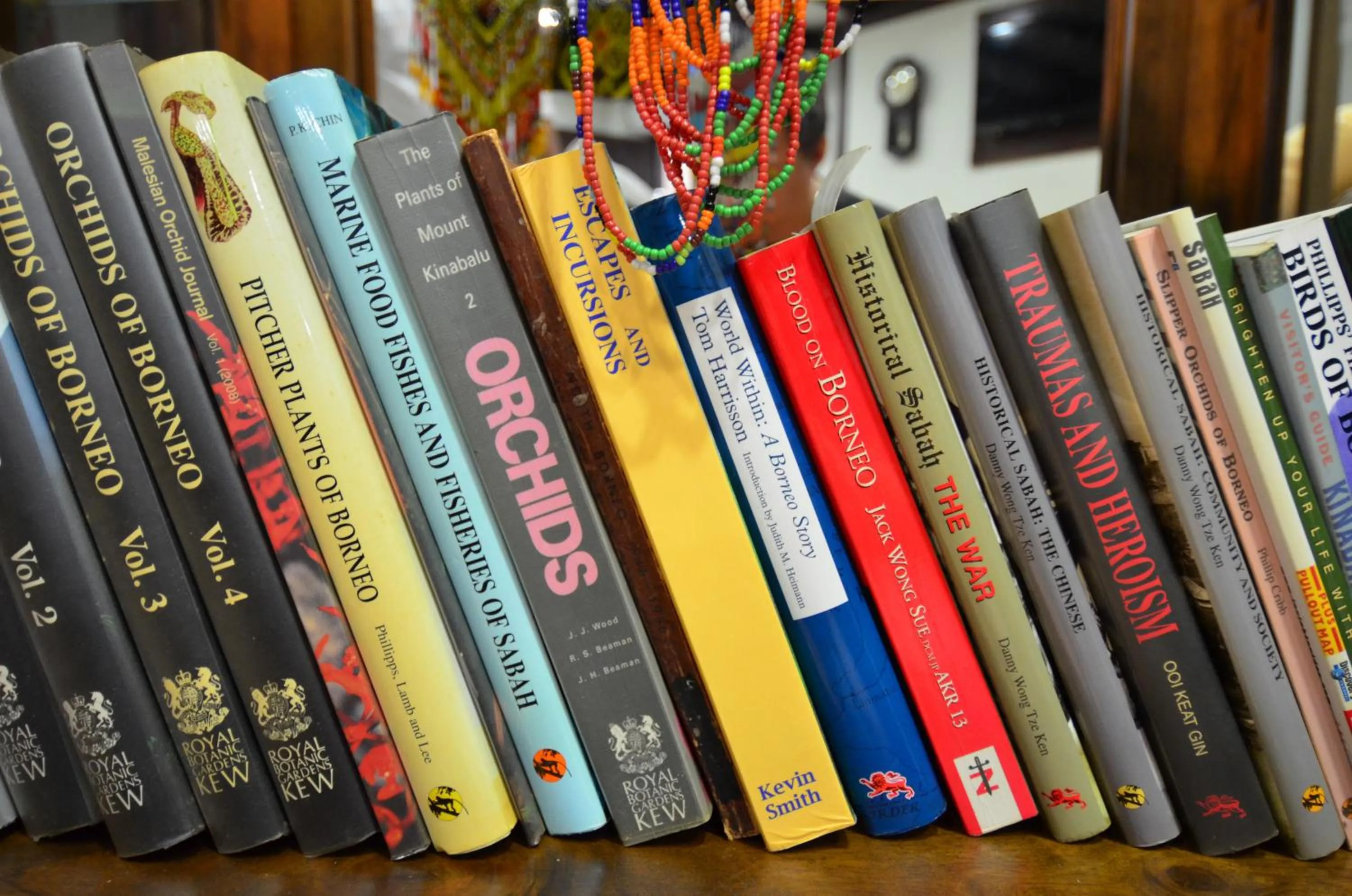 Library in Hotel Kooler Inn