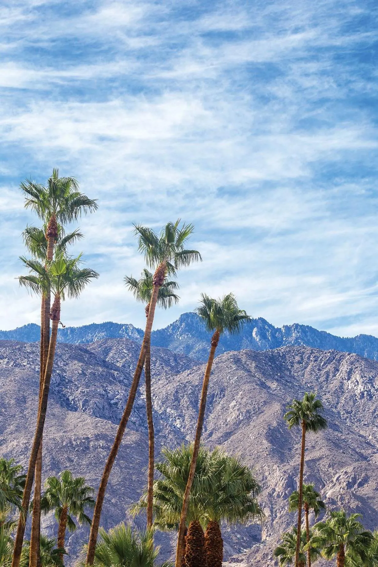 Area and facilities in WorldMark Palm Springs