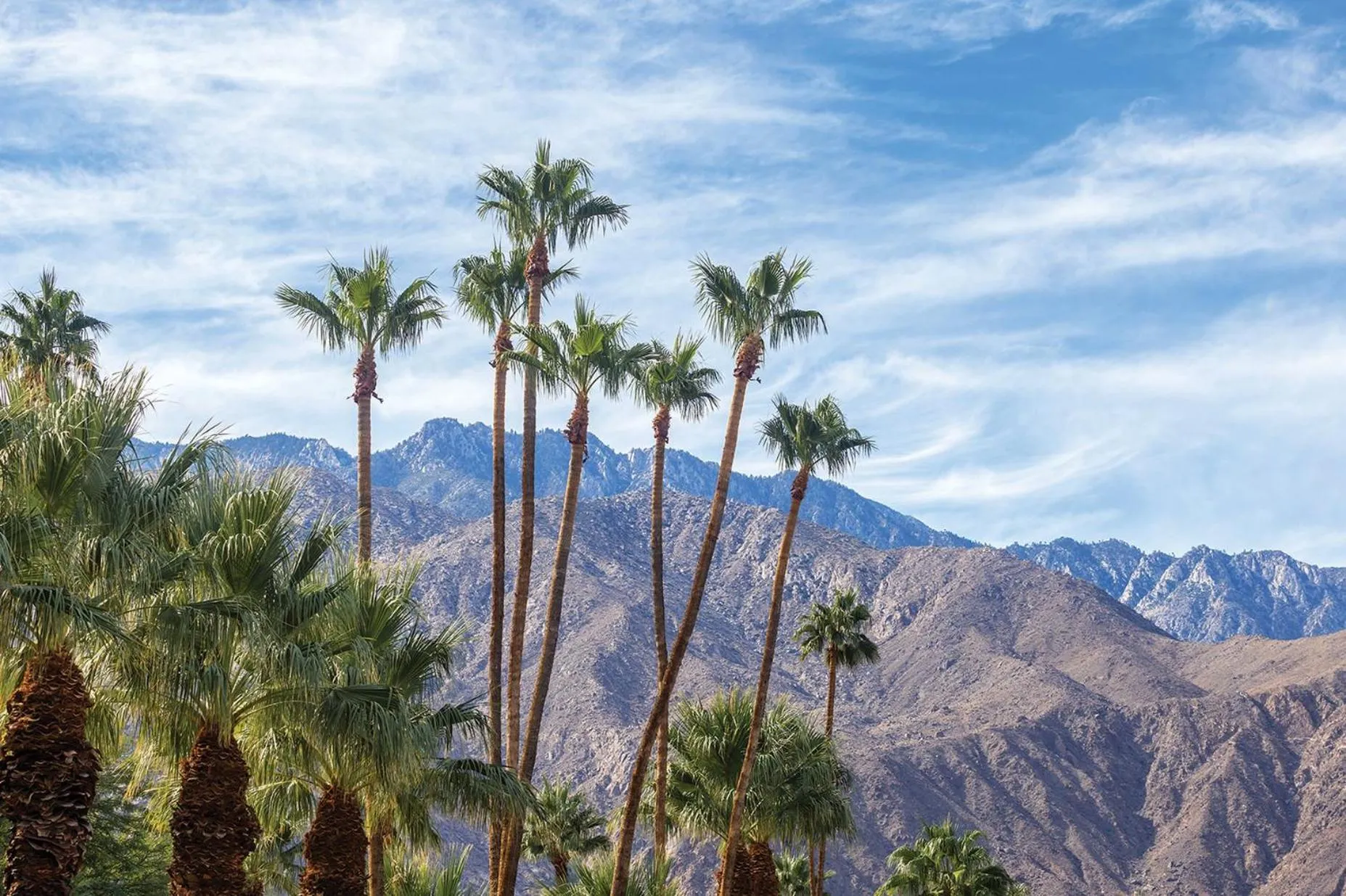 Area and facilities in WorldMark Palm Springs