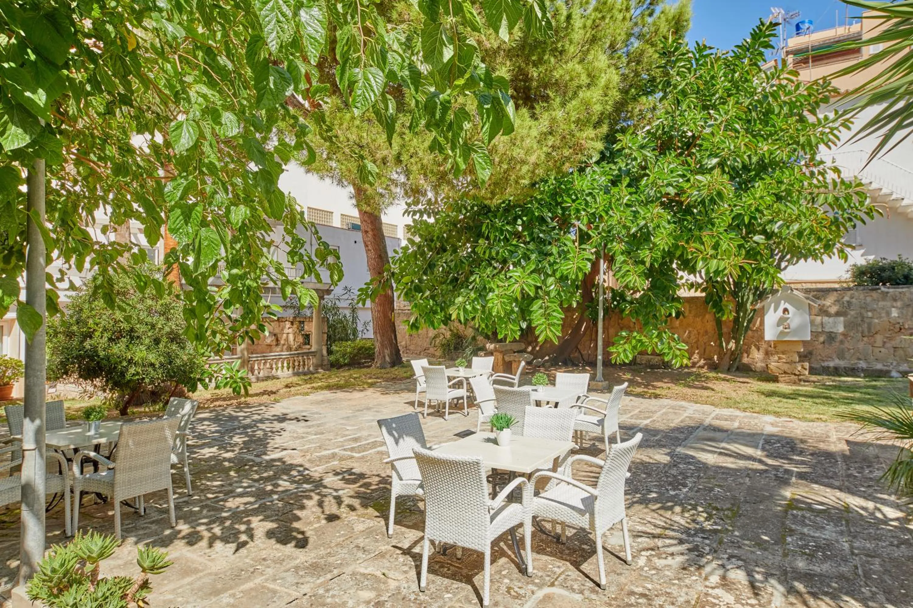 Garden in Apartamentos Ben-Hur