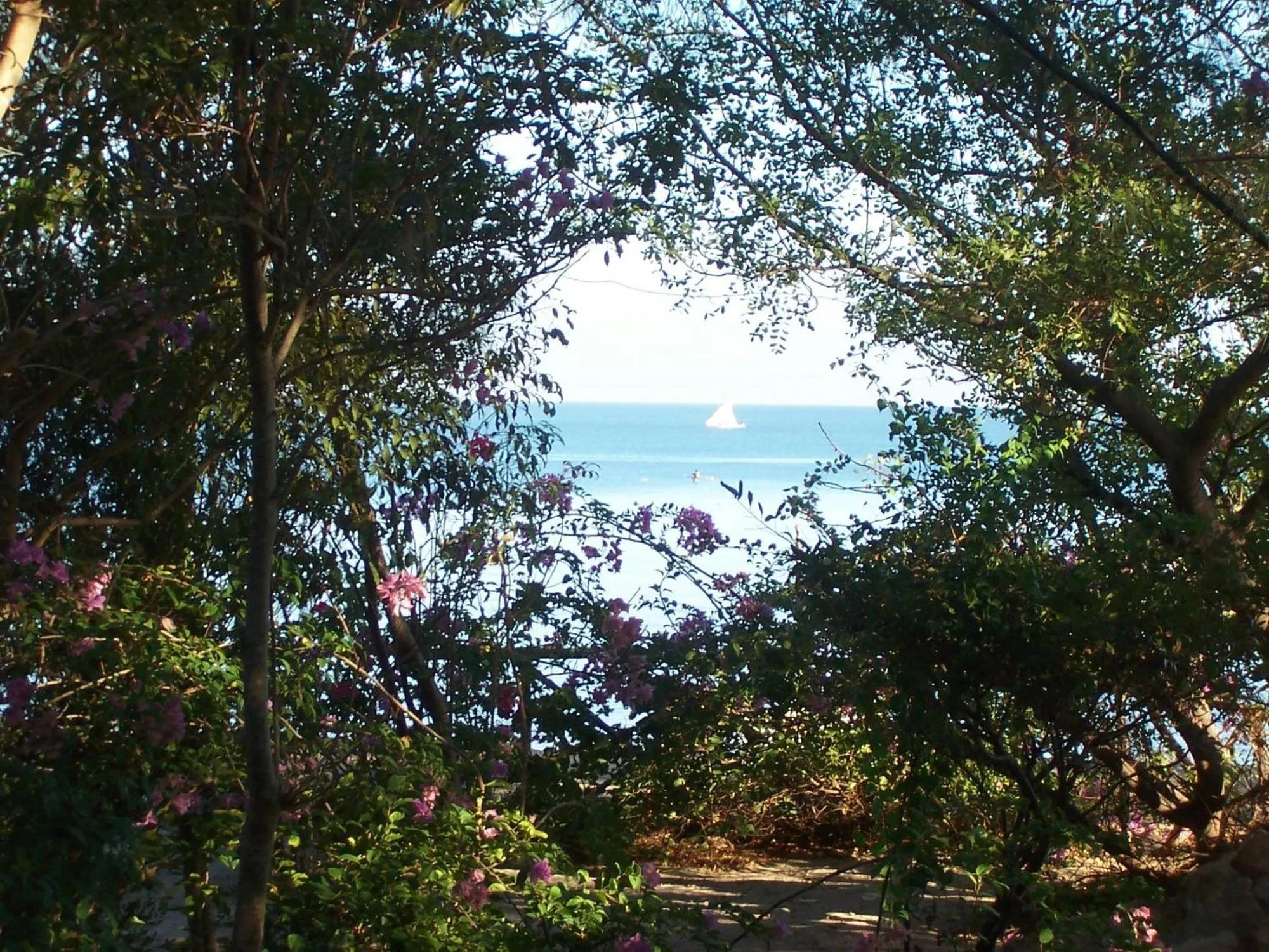 Sea view in Villa Miadana