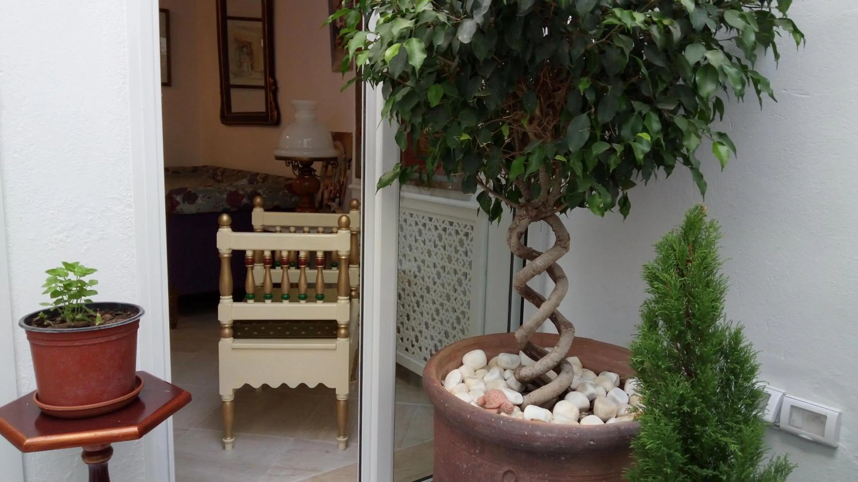 Patio in El Patio Courtyard House