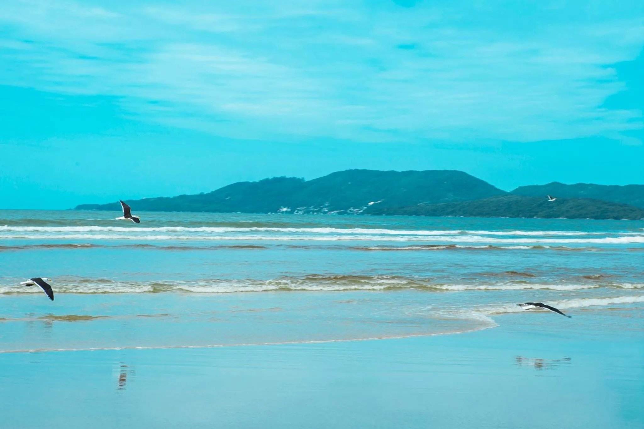 Beach in Hotel Itapema Meia Praia