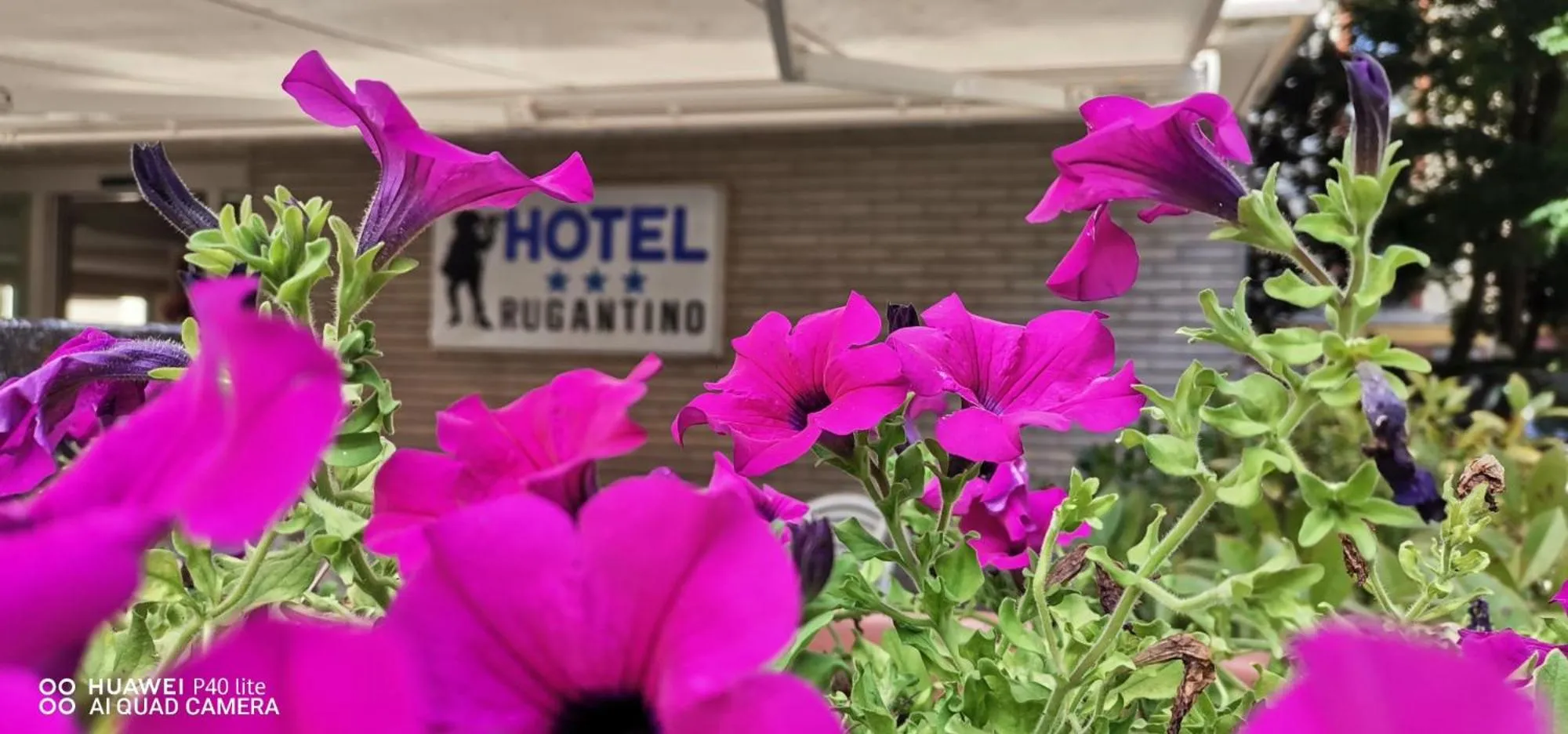 Property building in Hotel Rugantino