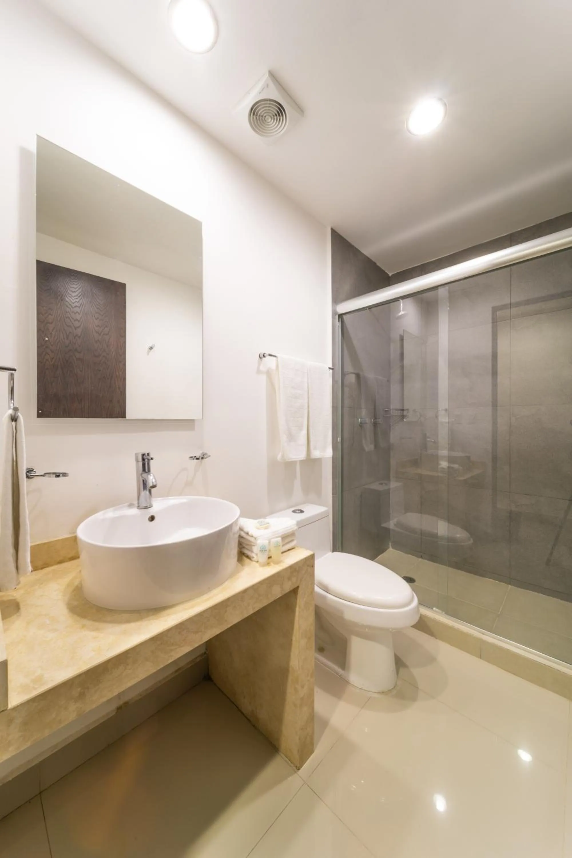 Shower in Hotel Nuve Torreón