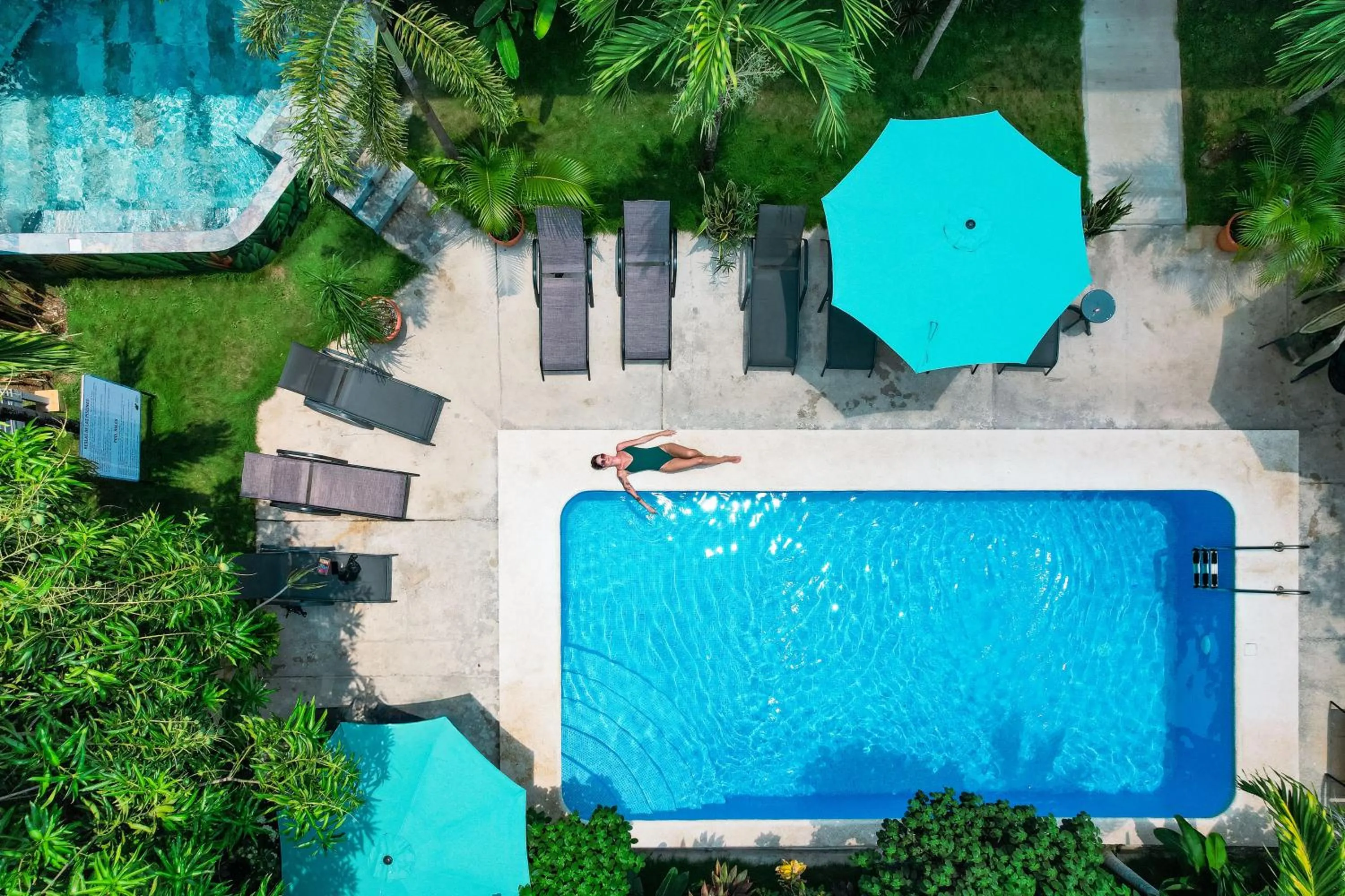 Wide Mouth Frog Quepos