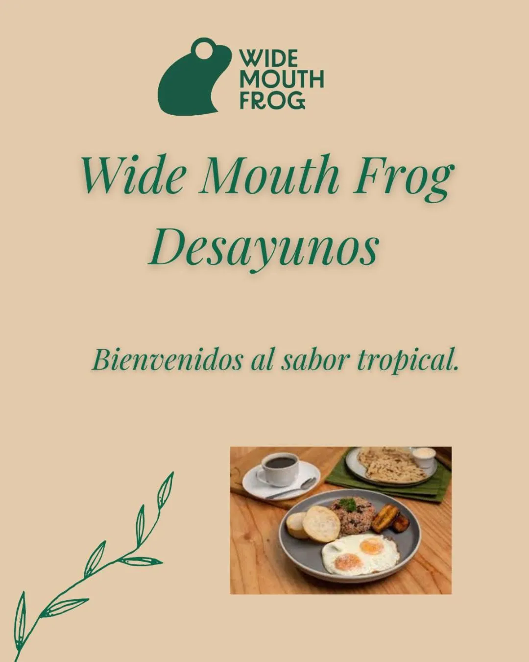 Breakfast in Wide Mouth Frog Quepos