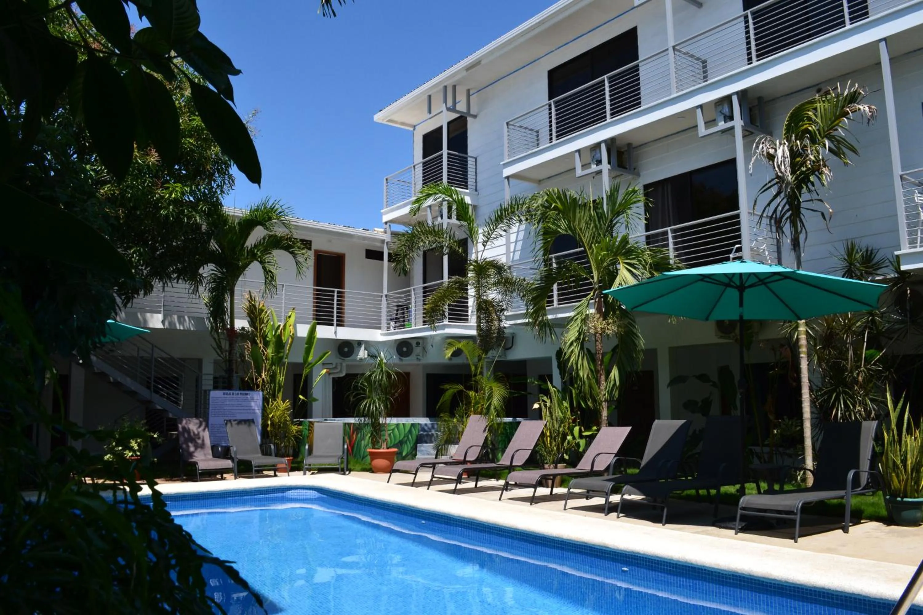 Garden in Wide Mouth Frog Quepos