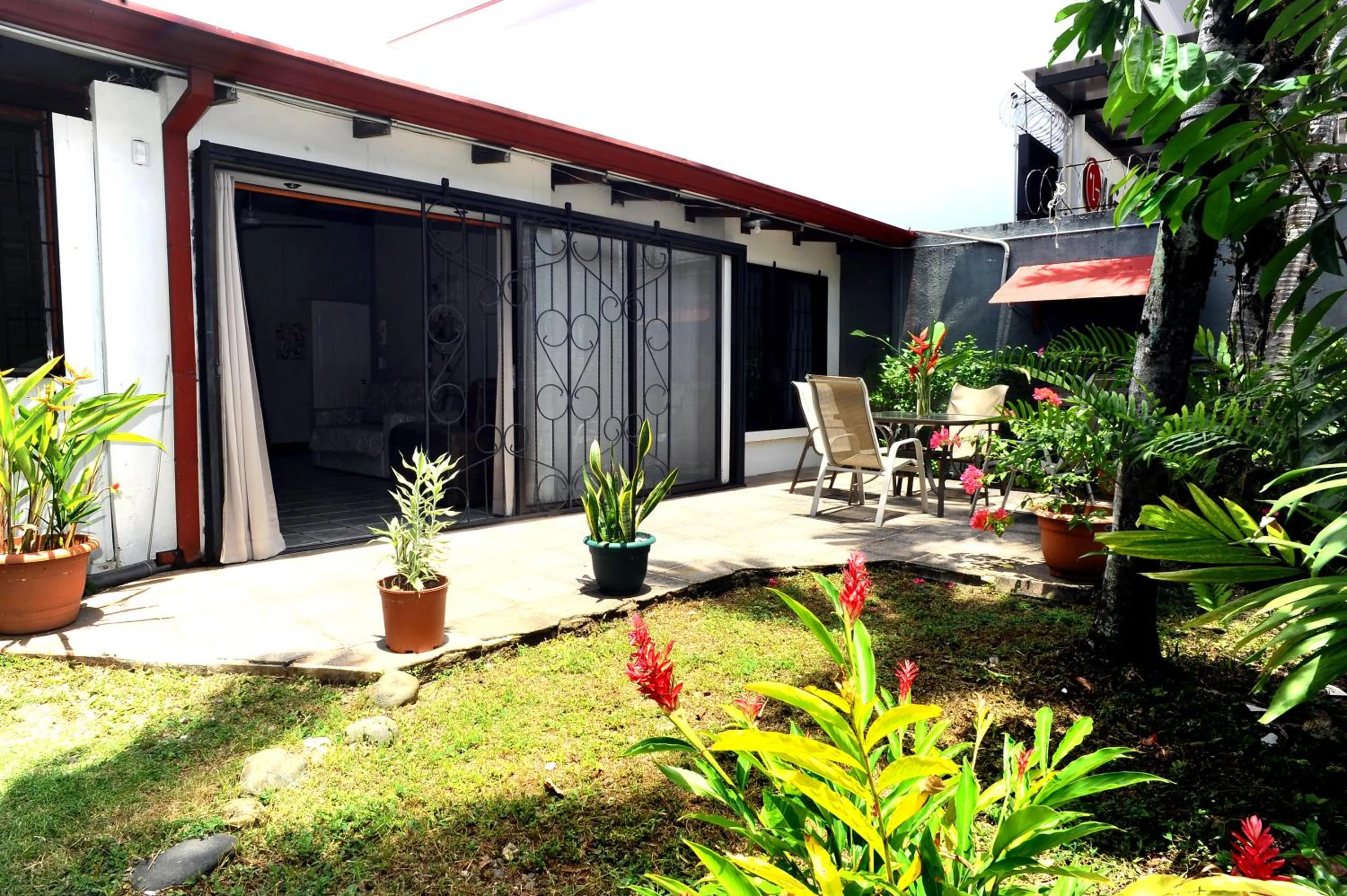 Balcony/Terrace in Wide Mouth Frog Quepos