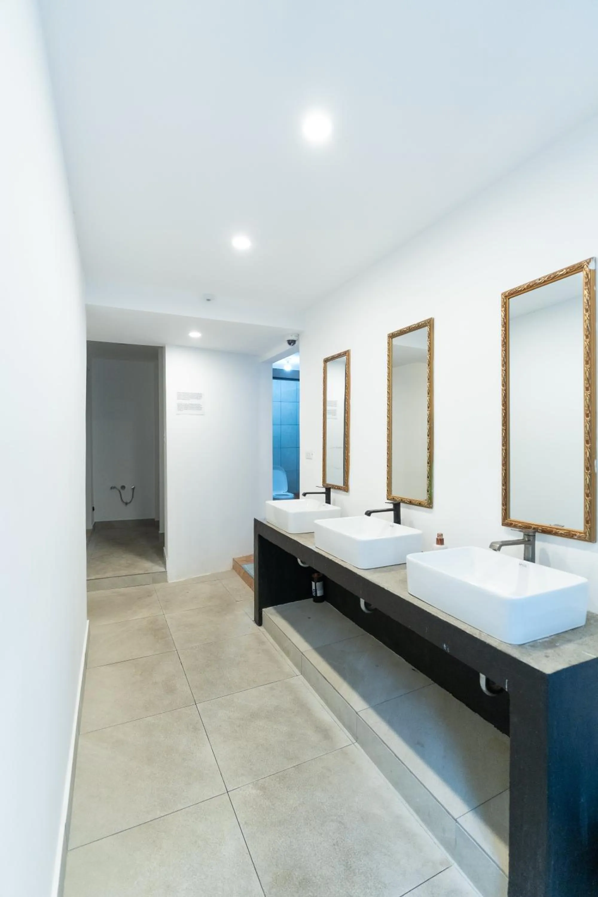 Toilet in Wide Mouth Frog Quepos