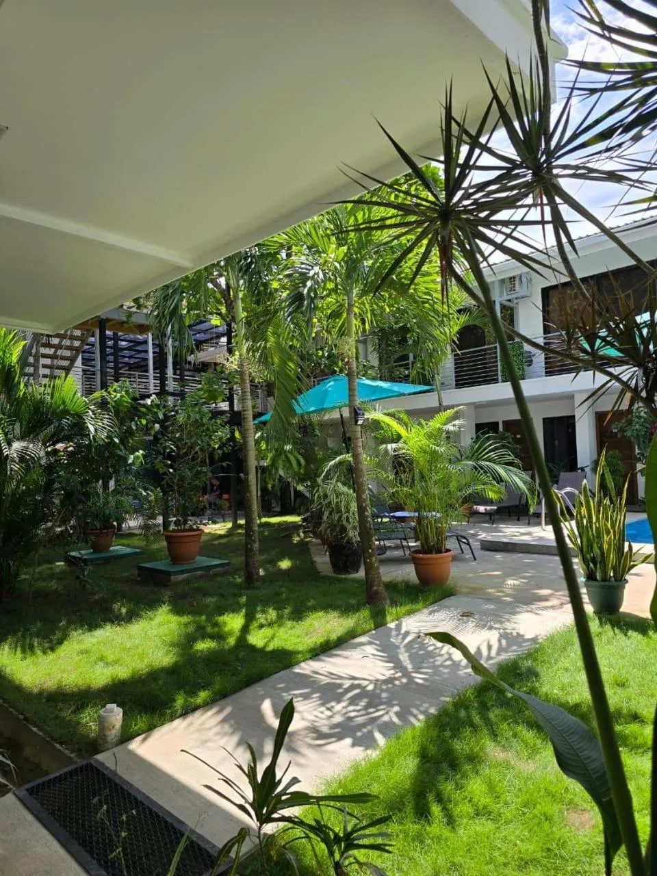 Garden view in Wide Mouth Frog Quepos