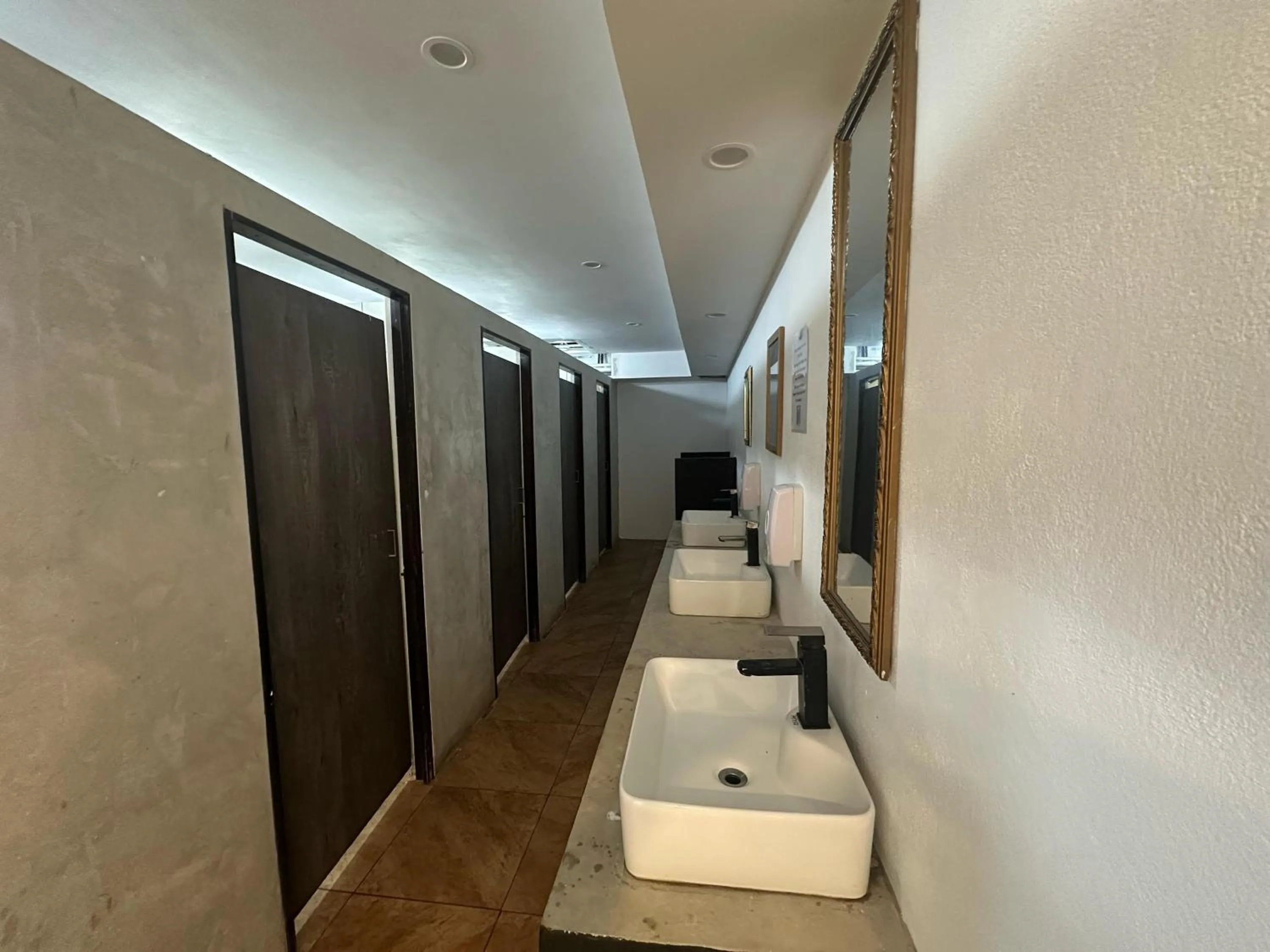 Toilet in Wide Mouth Frog Quepos