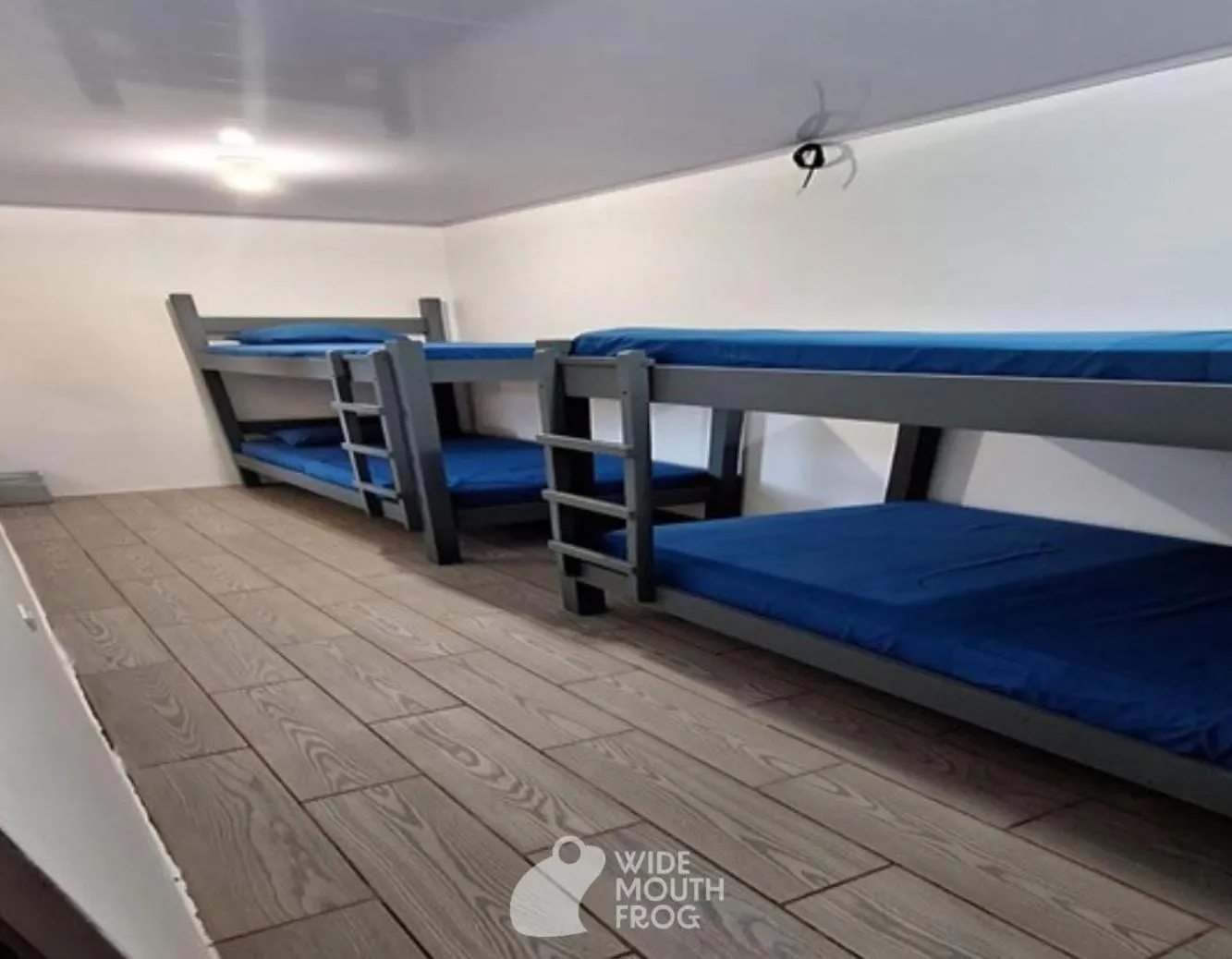 Photo of the whole room, Bed in Wide Mouth Frog Quepos