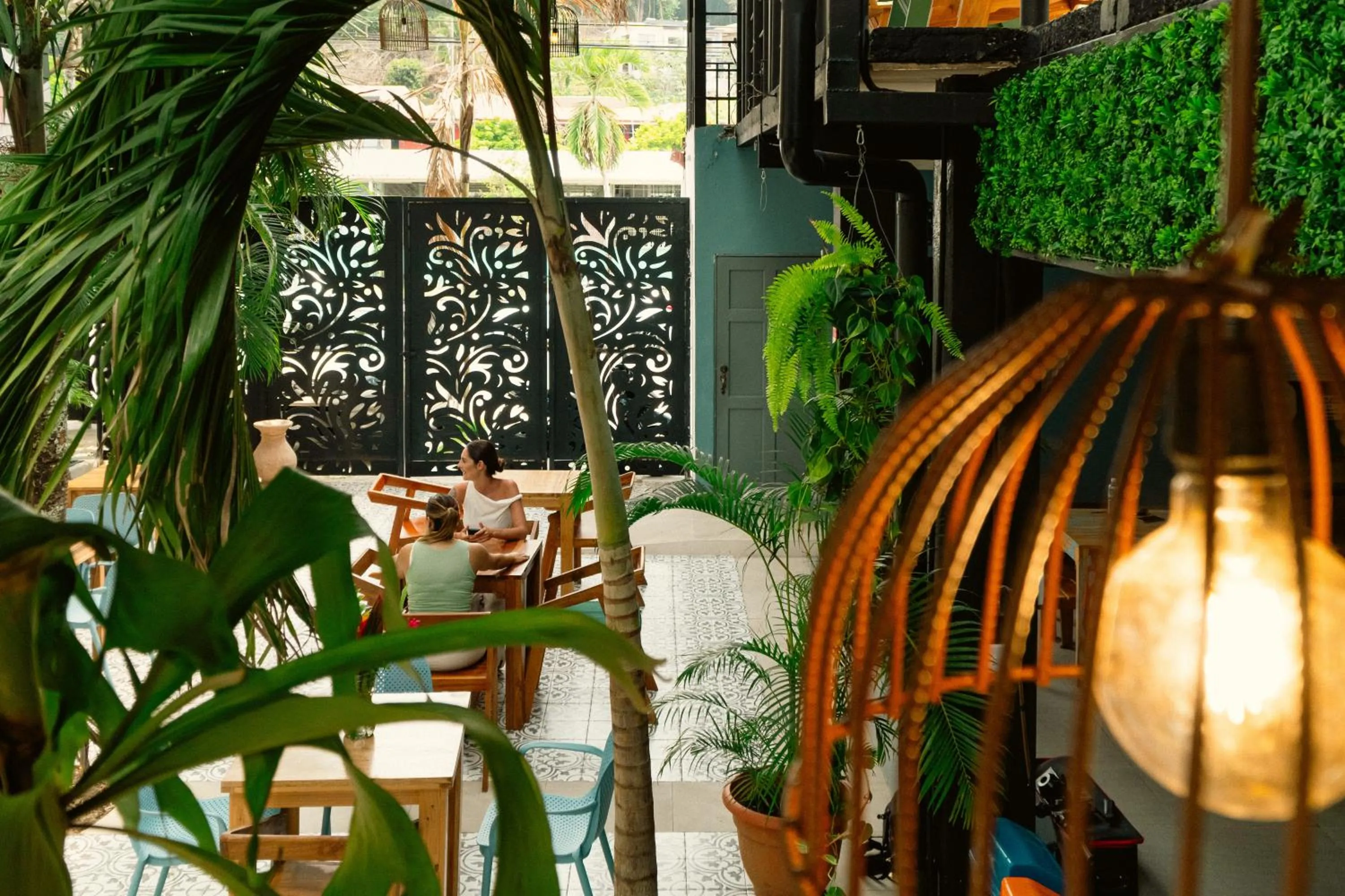 Restaurant/places to eat in Wide Mouth Frog Quepos