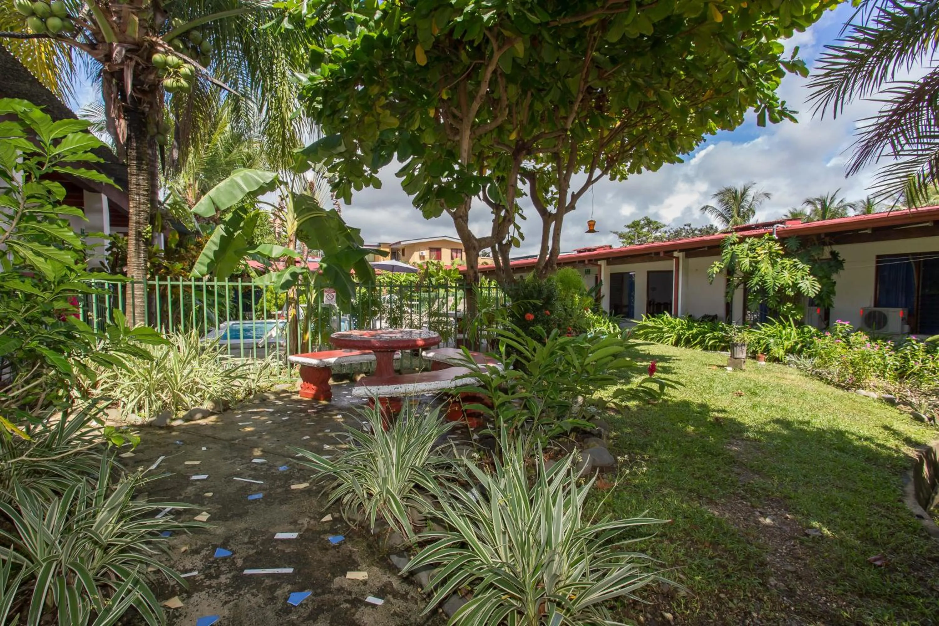 Garden in Wide Mouth Frog Quepos