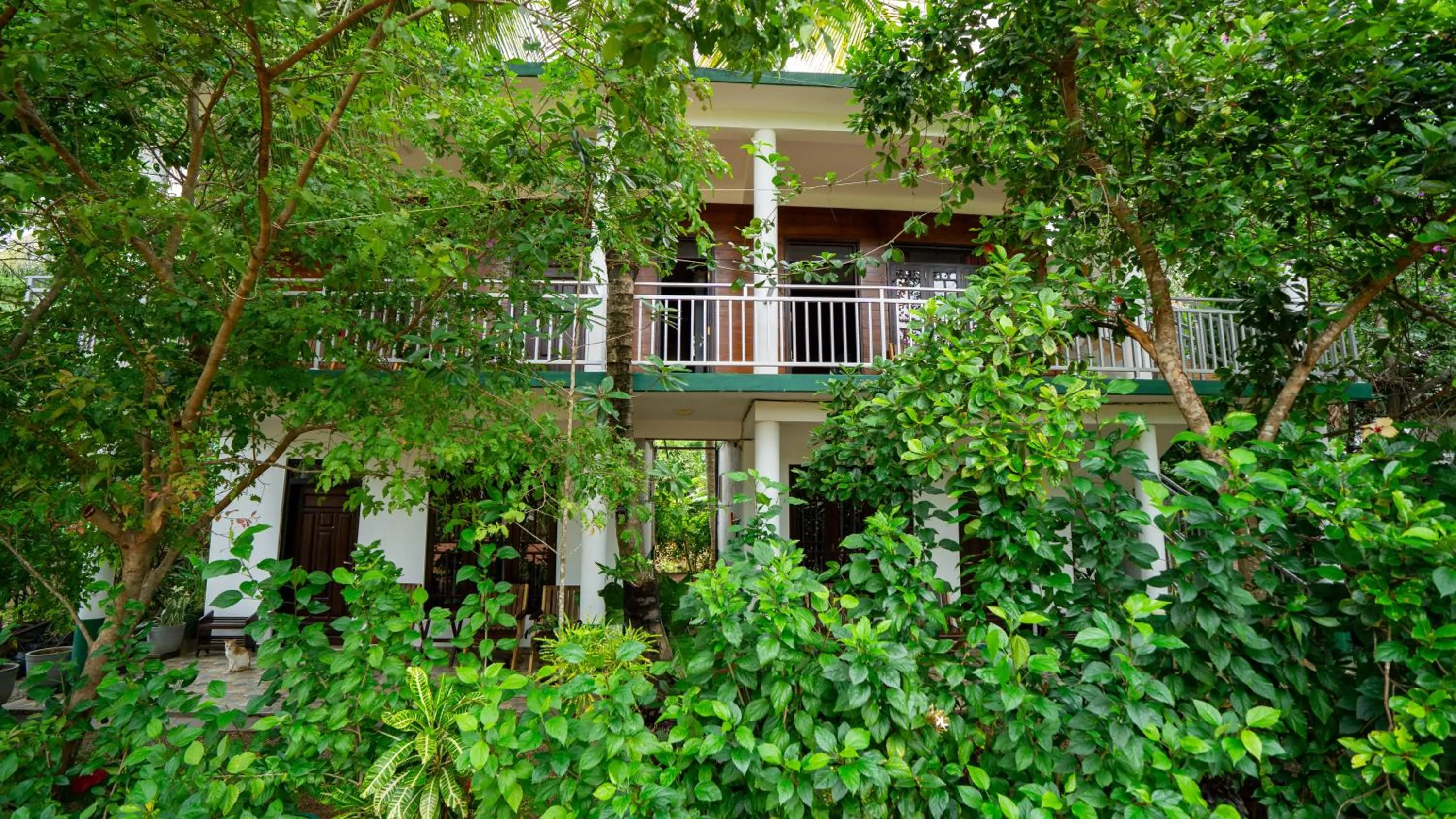 Shady mango villa