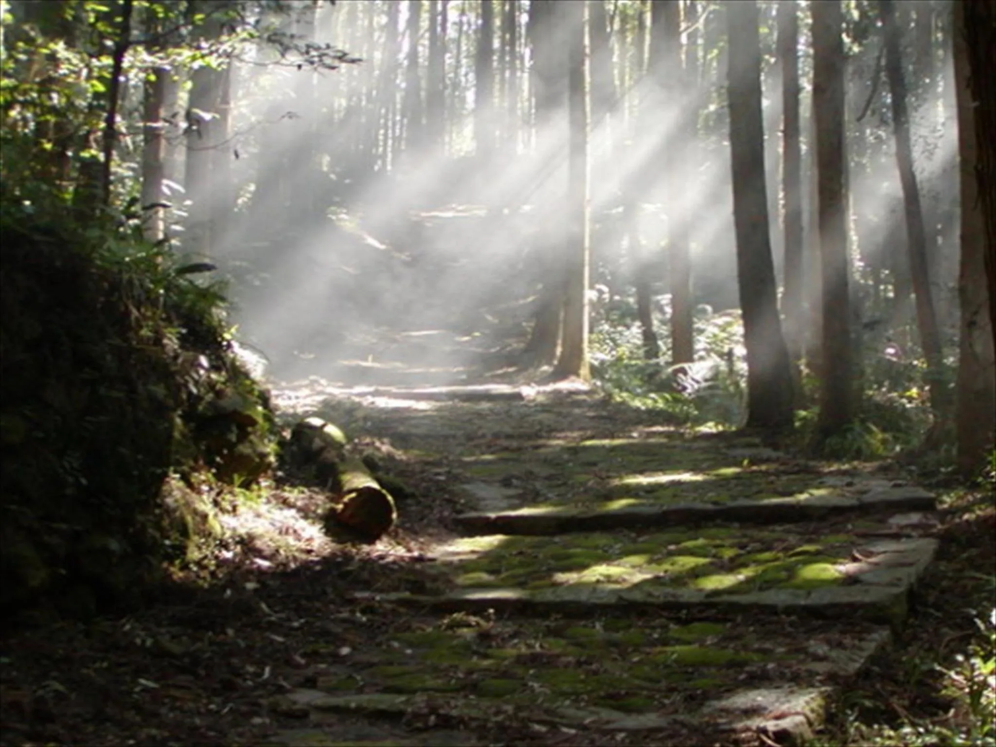 Nearby landmark, Garden in Nanki Shirahama Resort Hotel