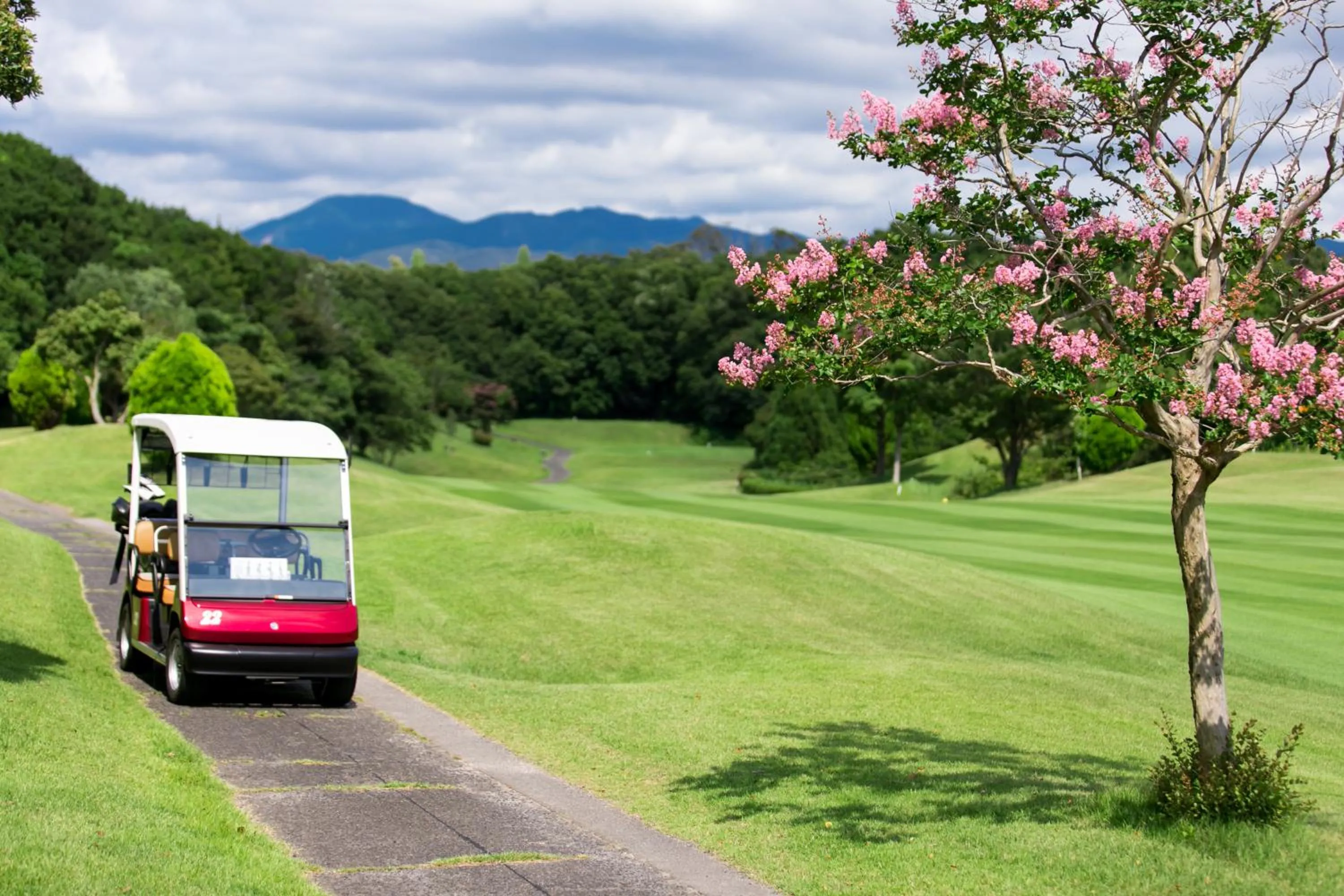 Nanki Shirahama Resort Hotel