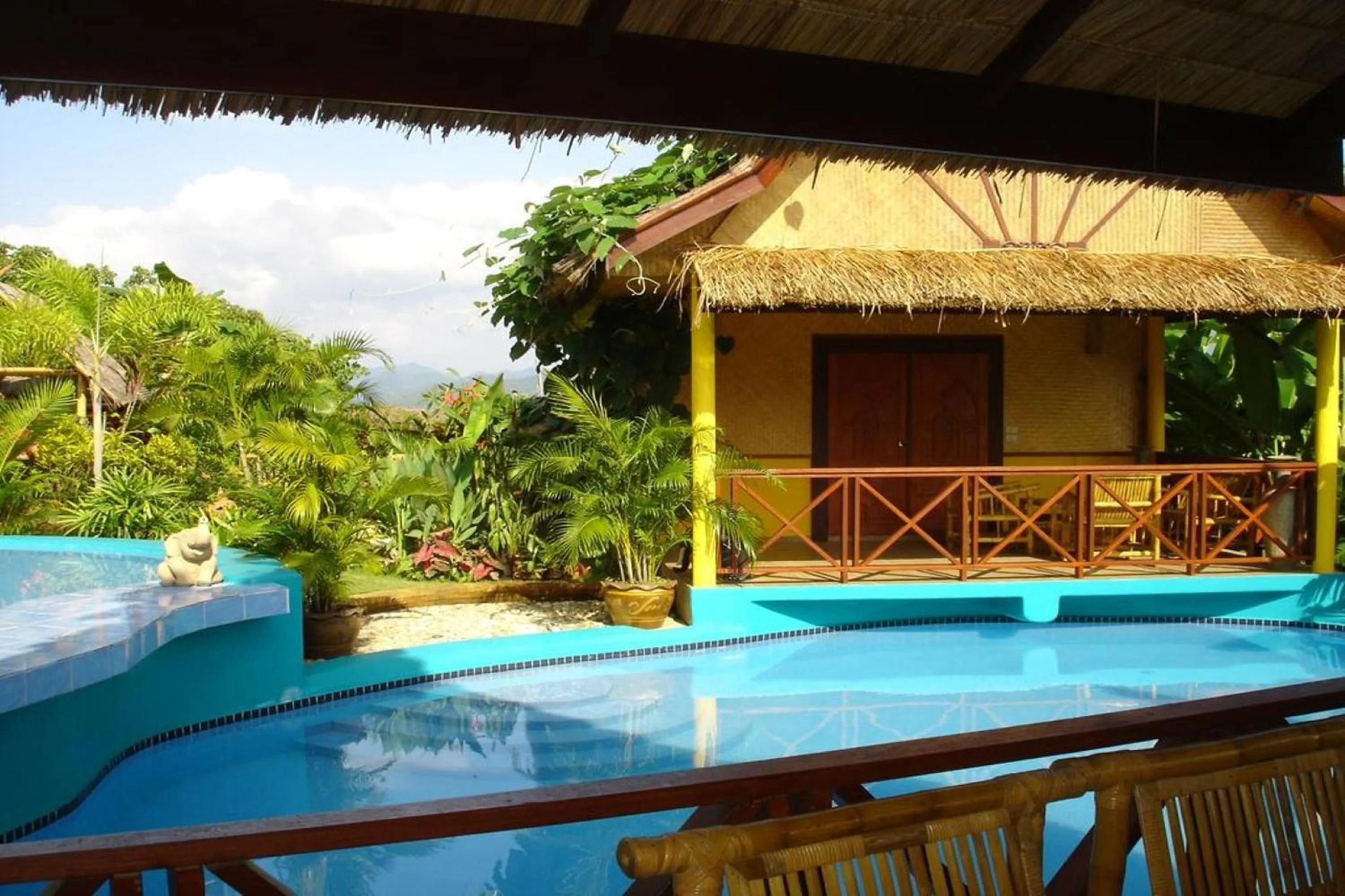 Swimming pool in Old Tree's House
