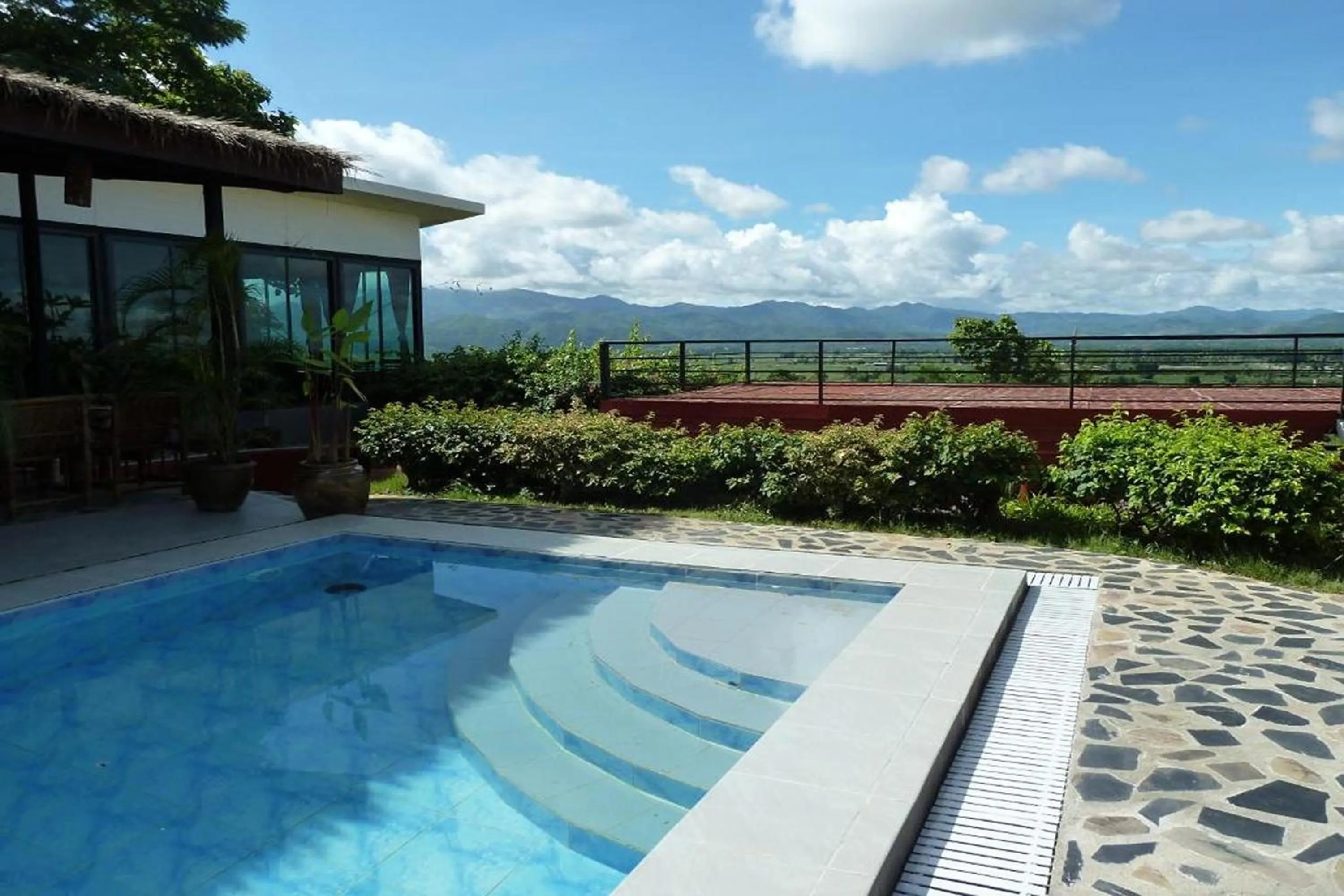 Swimming pool in Old Tree's House