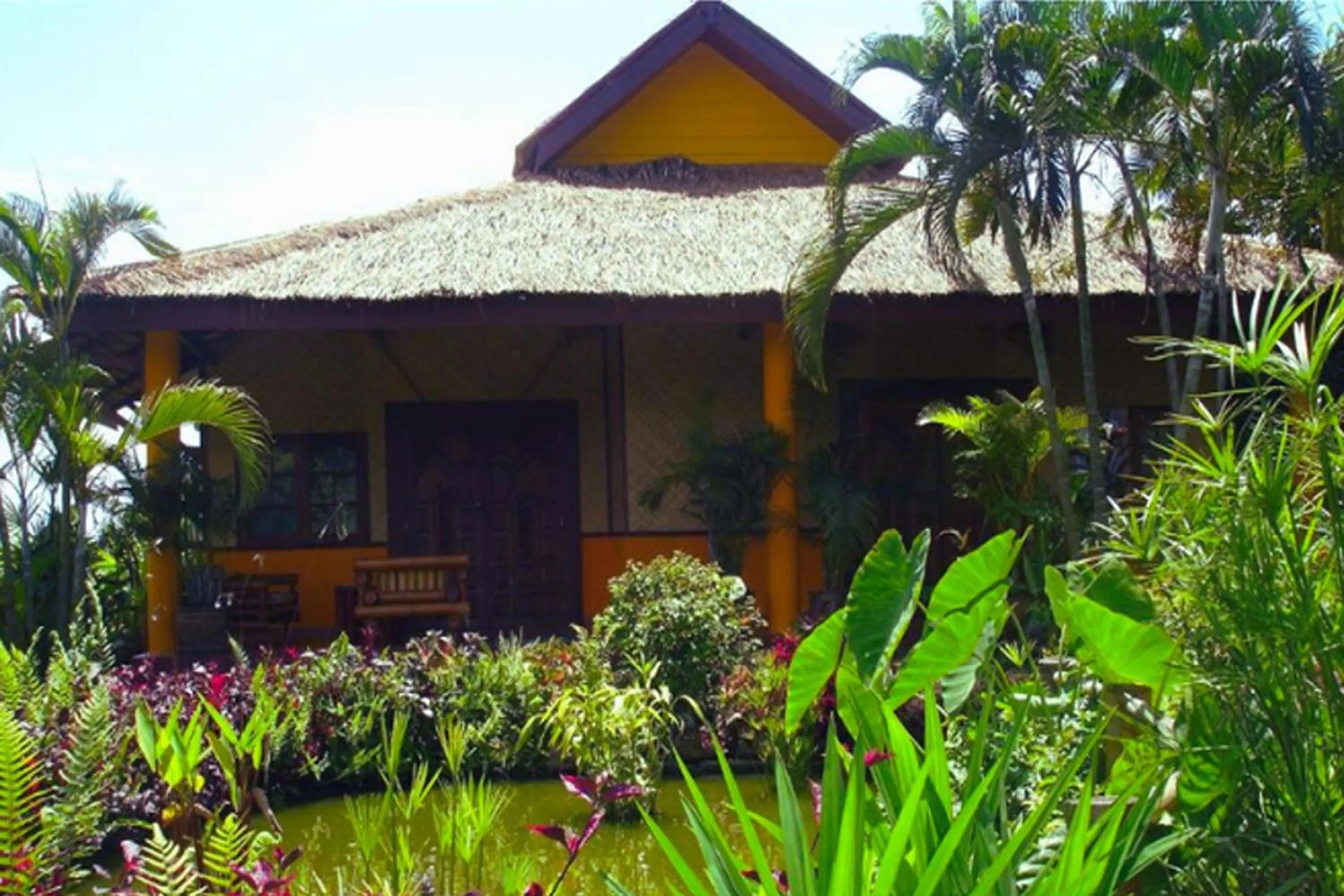 Property building in Old Tree's House