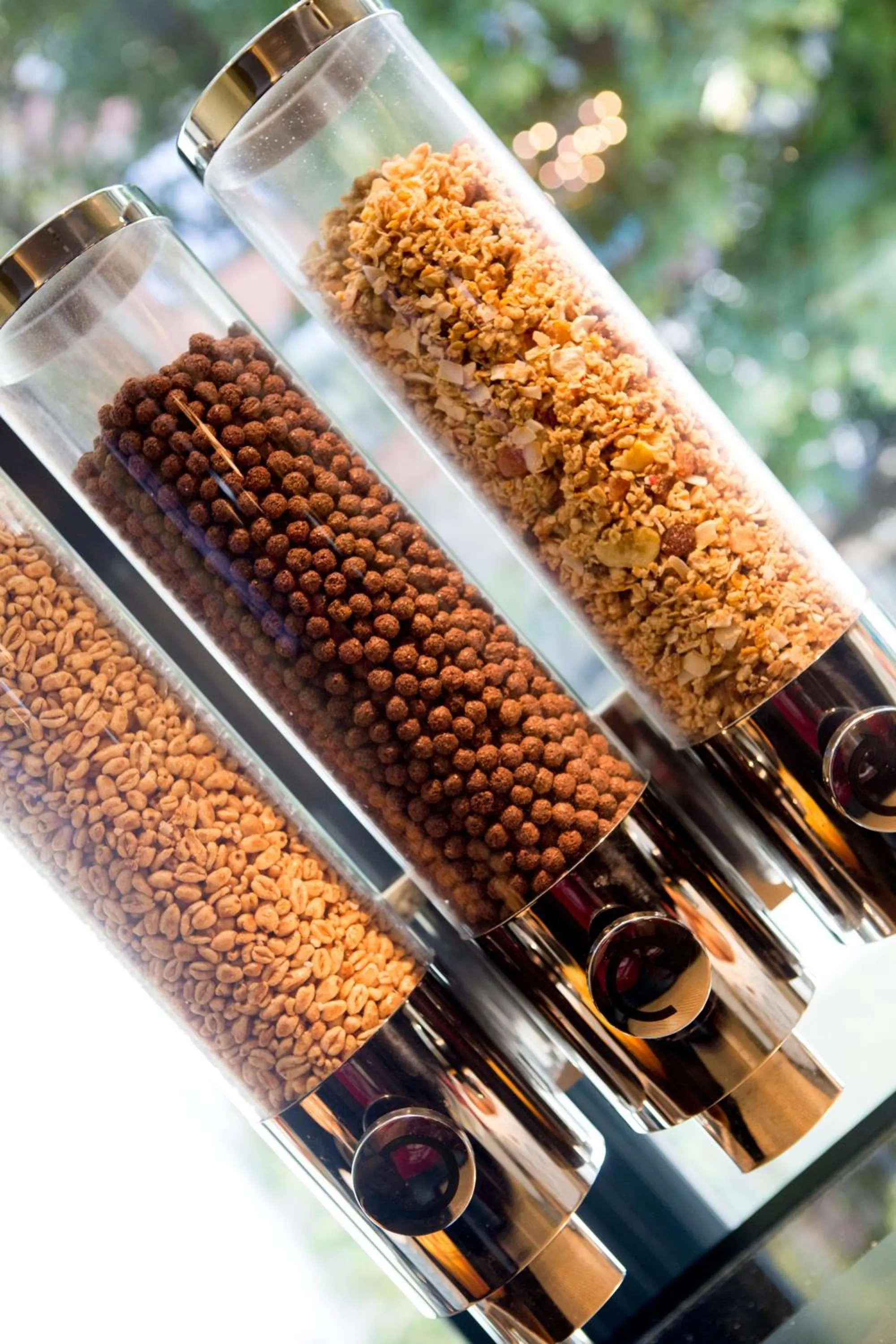 Restaurant/places to eat in Hotel The Neufchatel