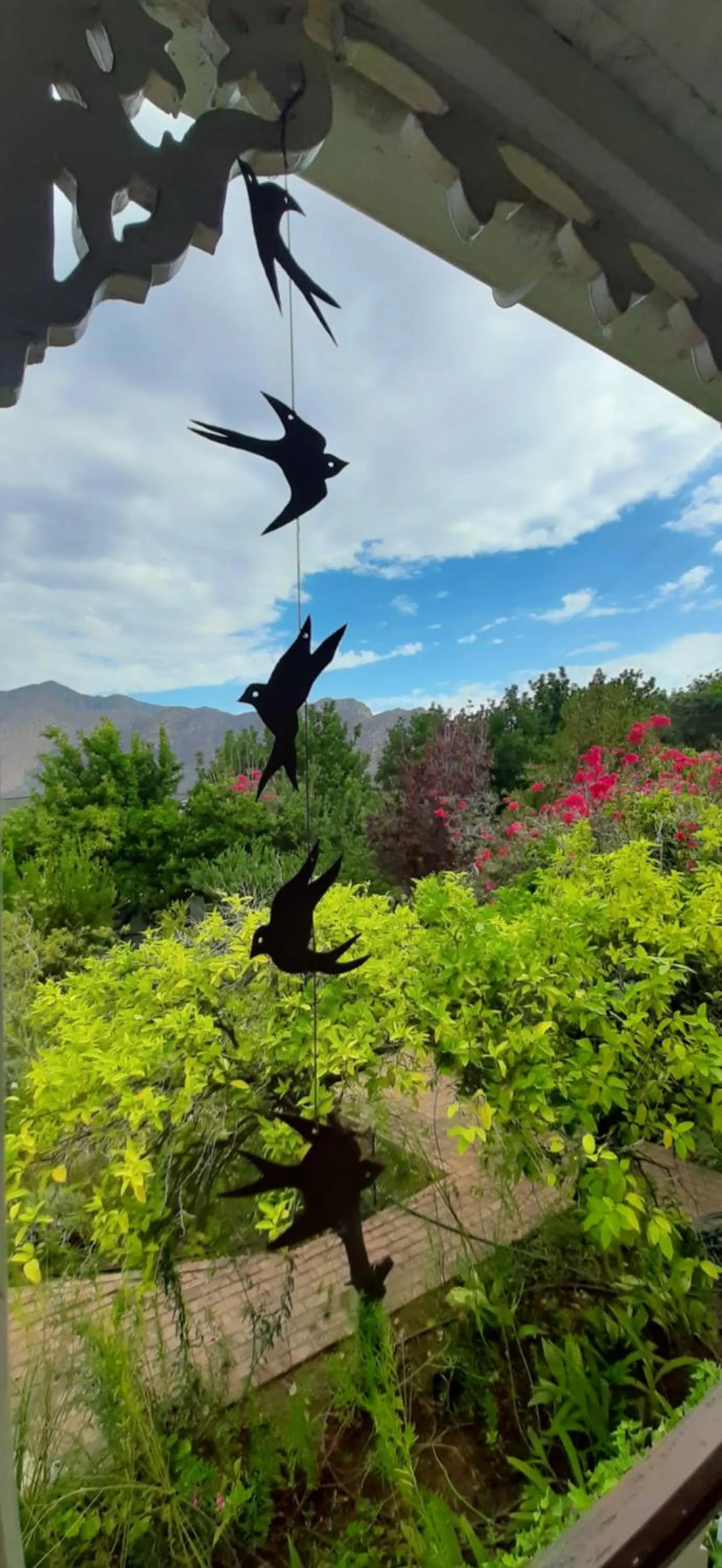 View (from property/room) in Abigail's Garden Cottage