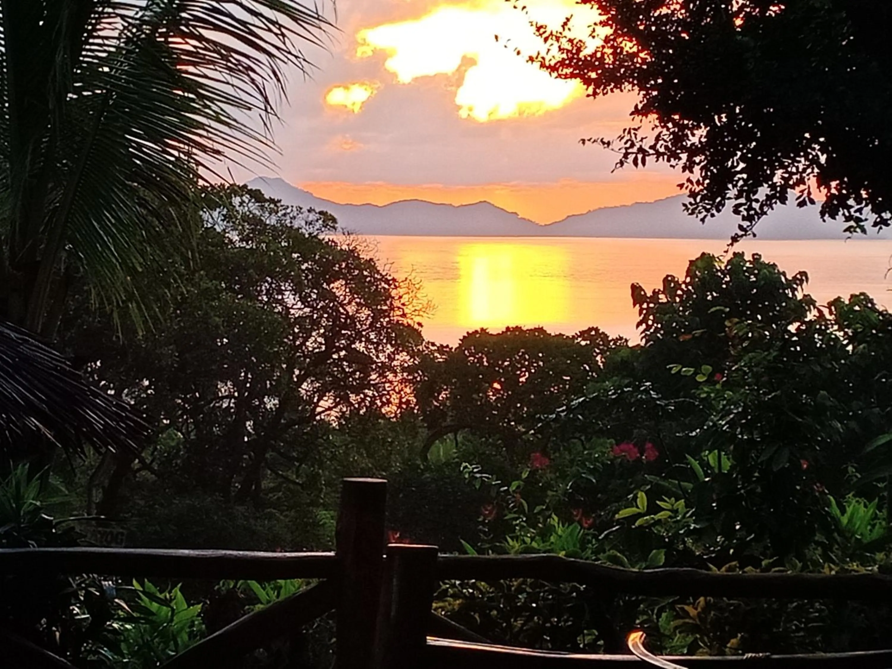 Restaurant/places to eat in Erlittop Garden Eco Lodge