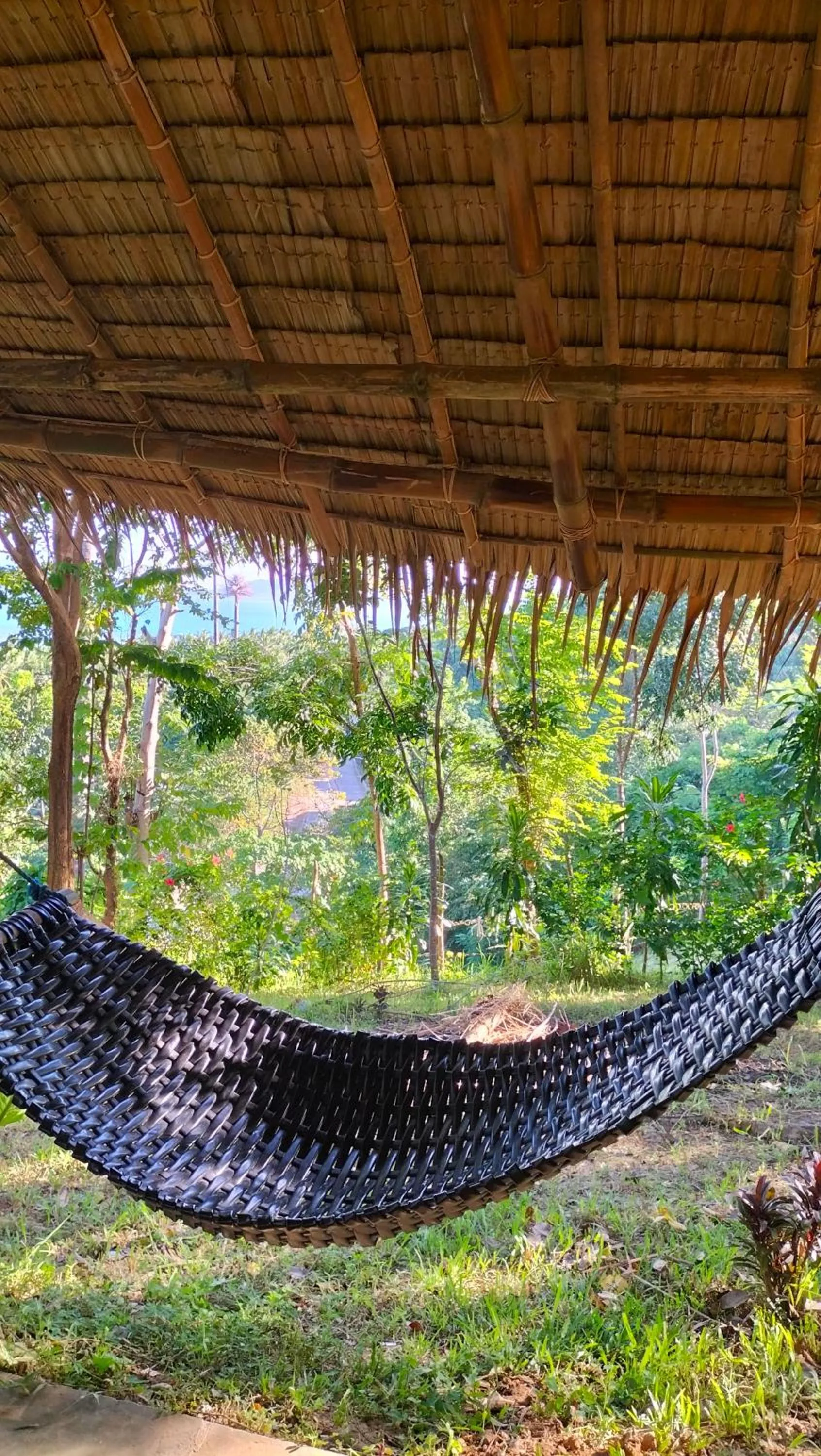 Natural landscape in Erlittop Garden Eco Lodge