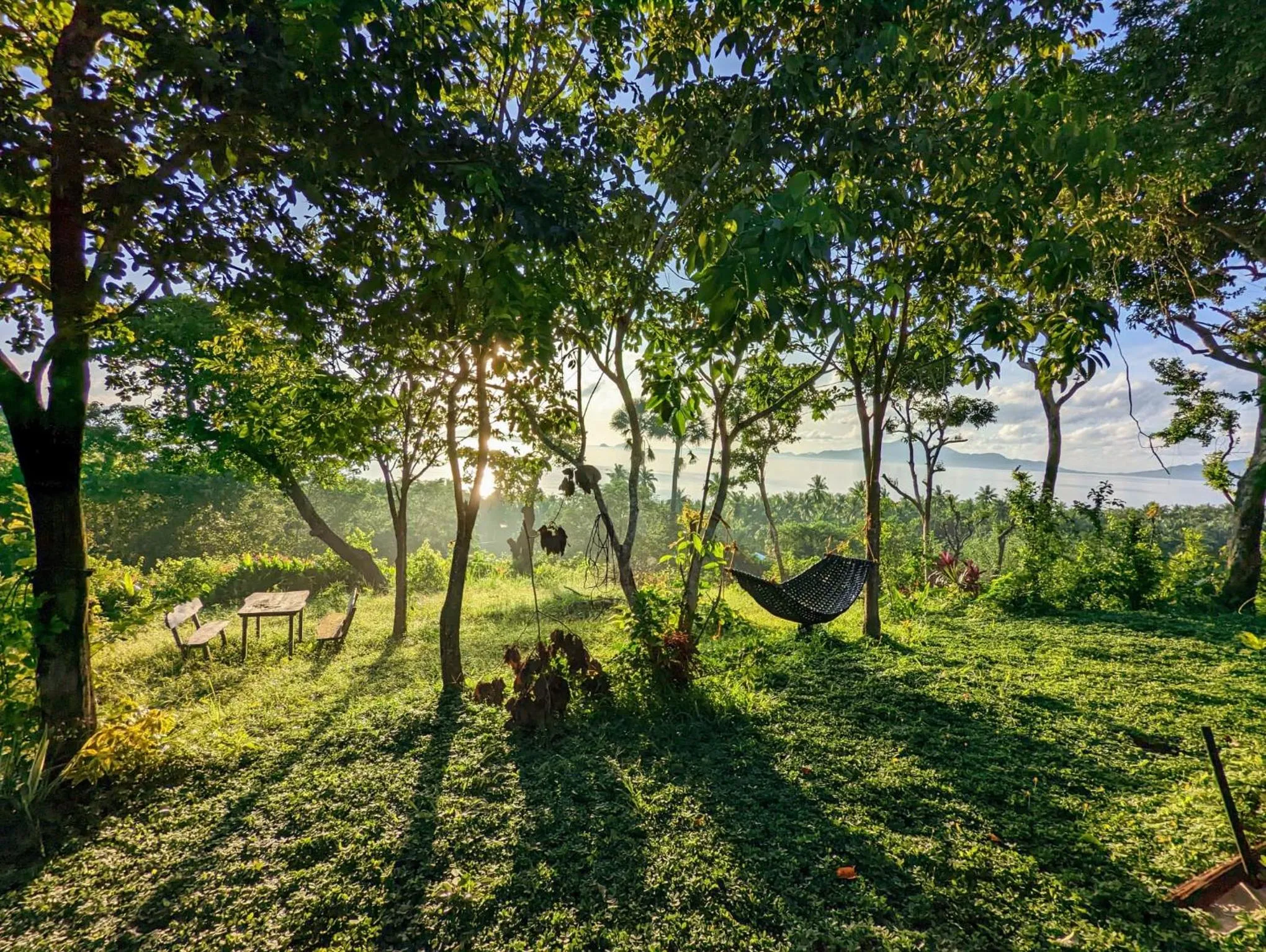 Garden view in Erlittop Garden Eco Lodge