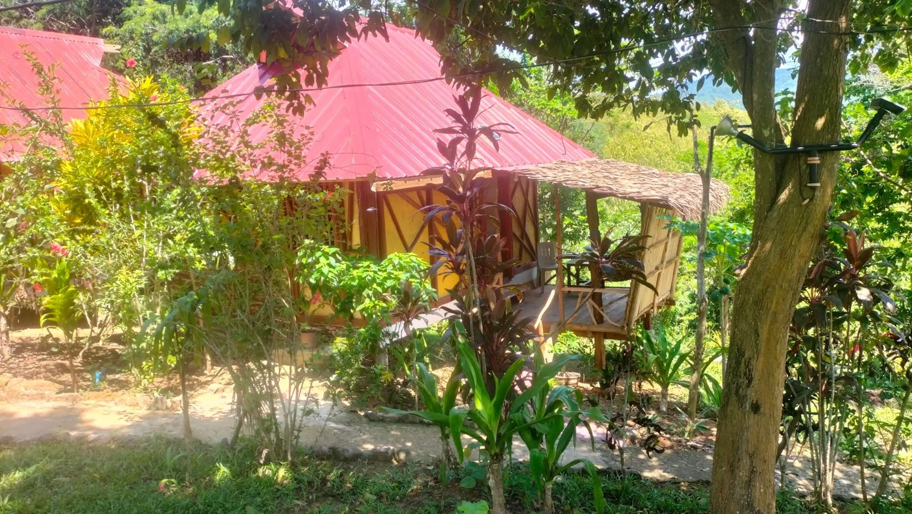Garden view in Erlittop Garden Eco Lodge