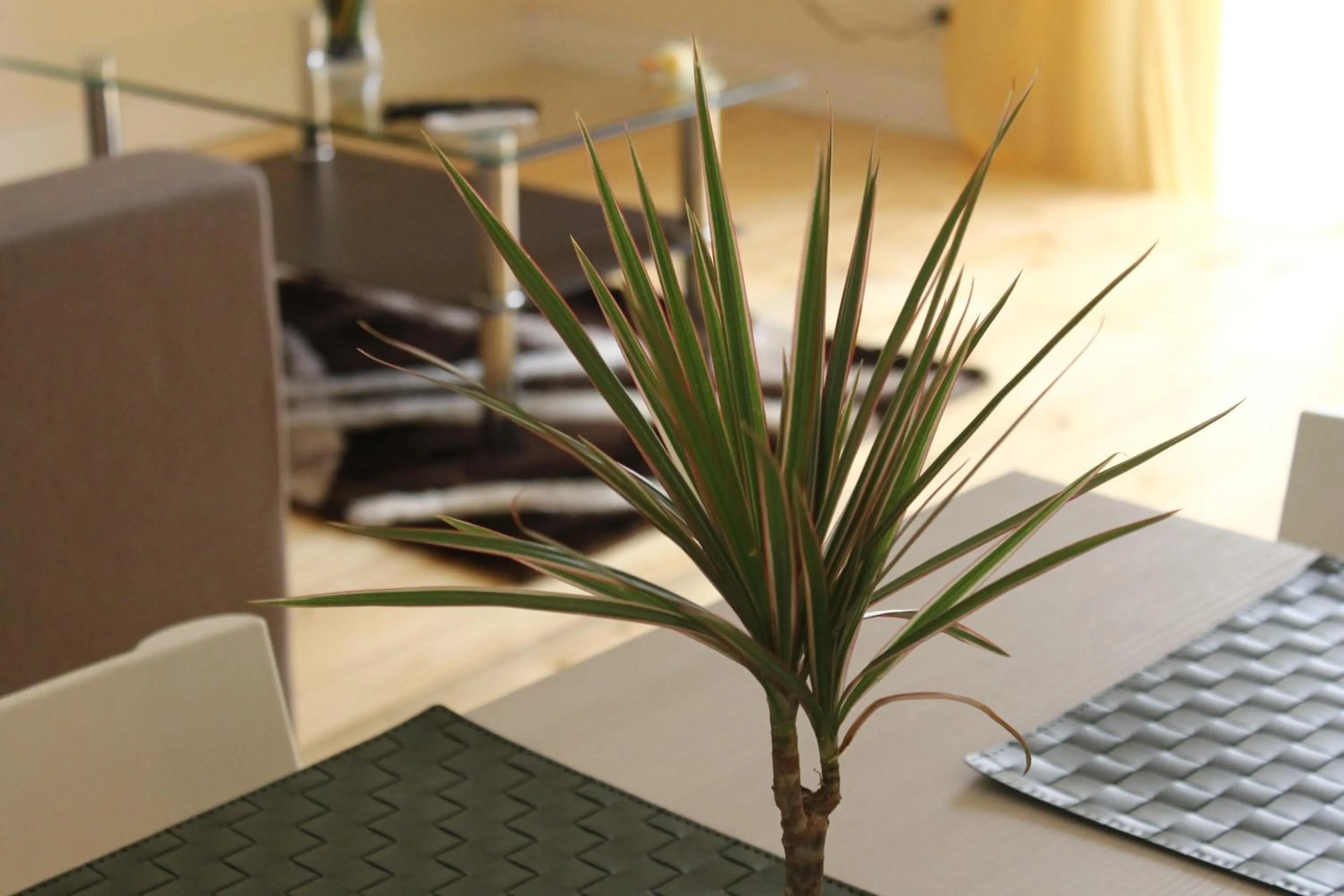 B&B La Torretta Chiaia