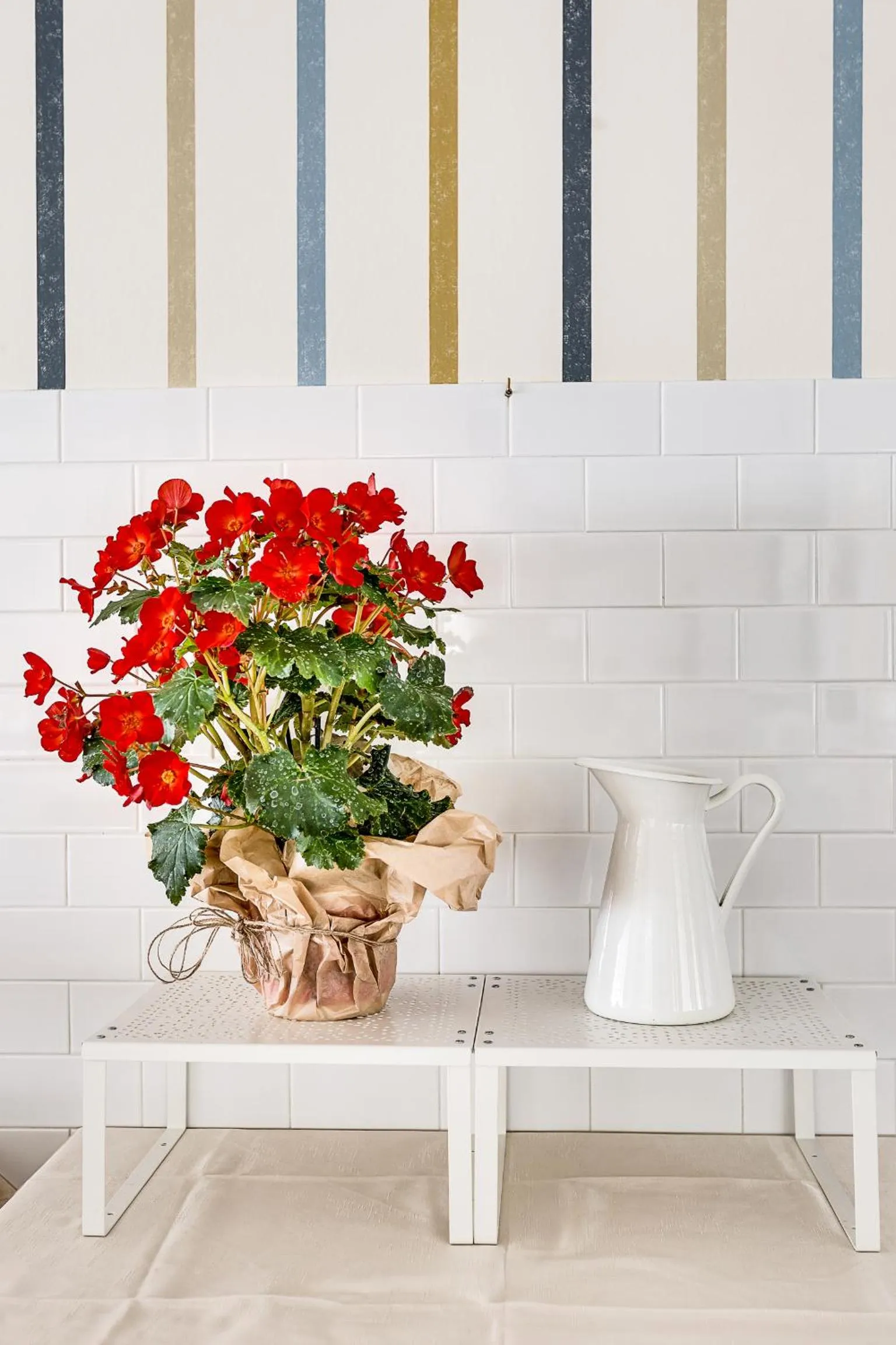 Restaurant/places to eat in Piccolo Hotel Kursaal