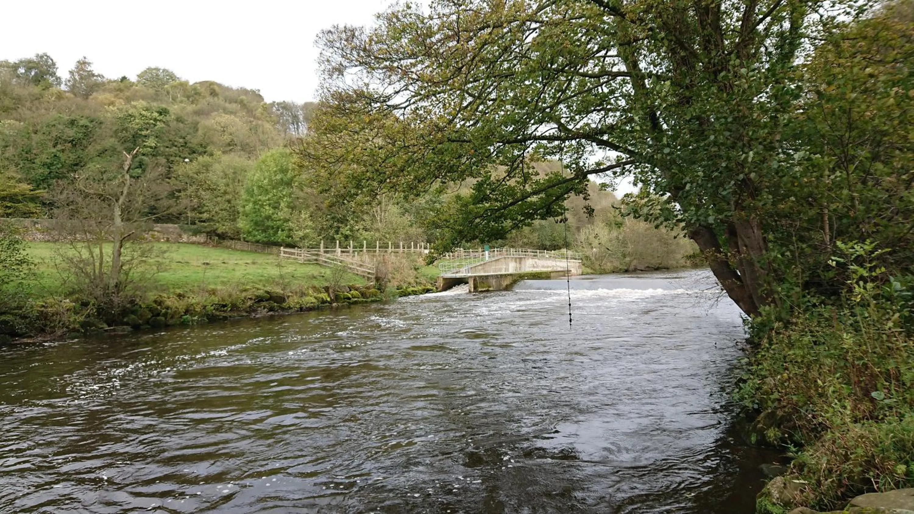 River view in The Family Tree