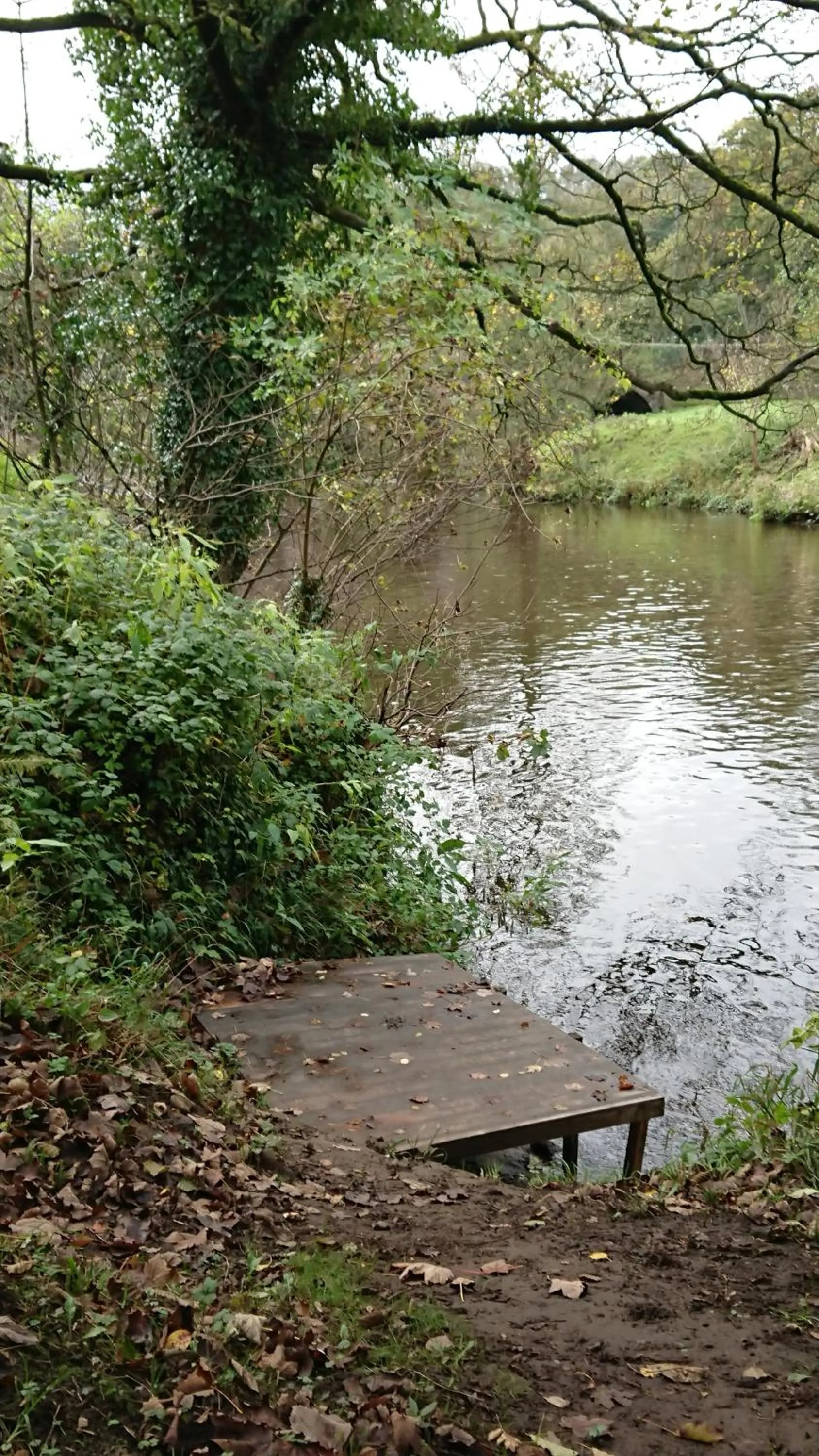 River view in The Family Tree