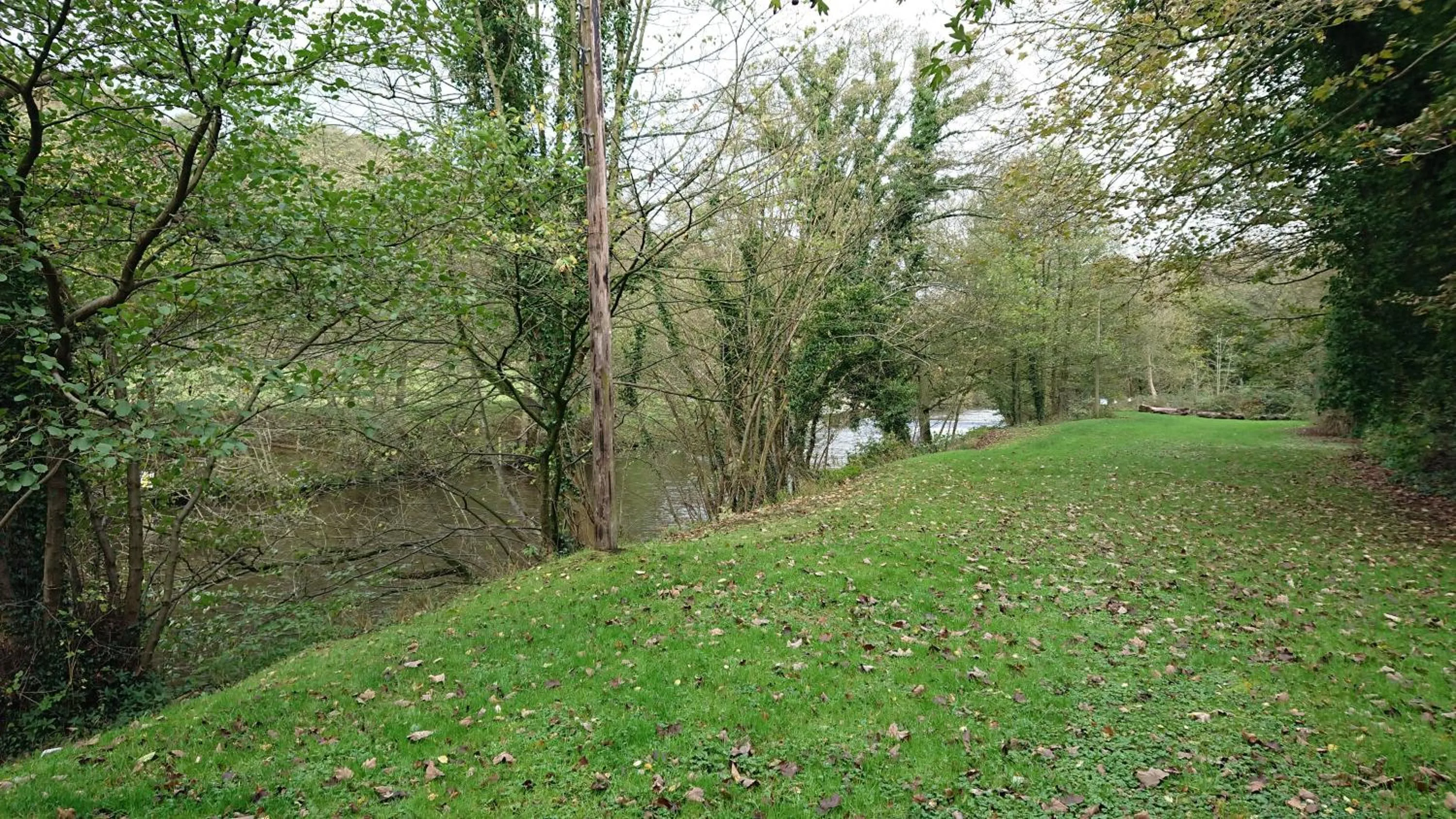 River view in The Family Tree