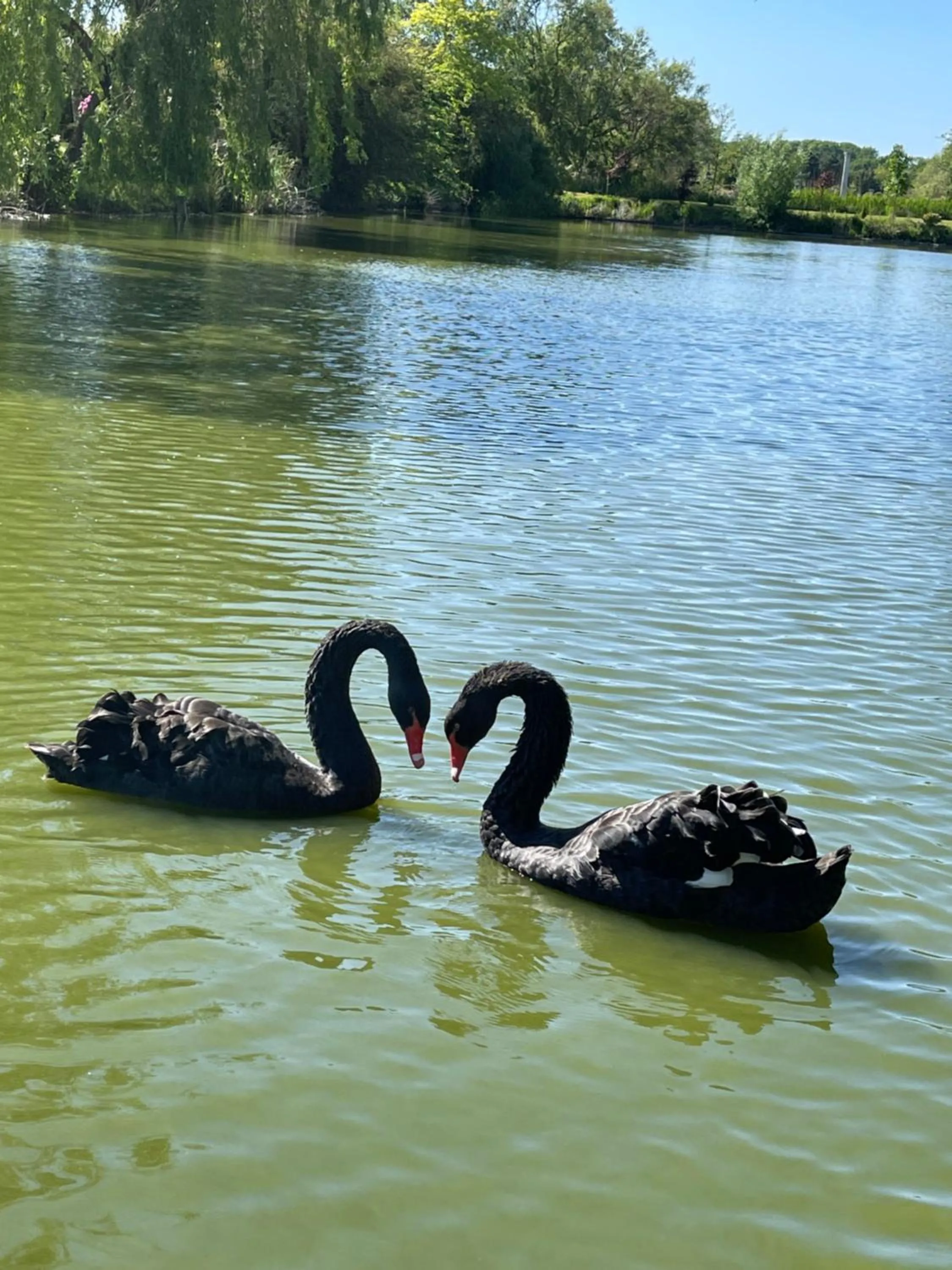 Paradijs Eiland
